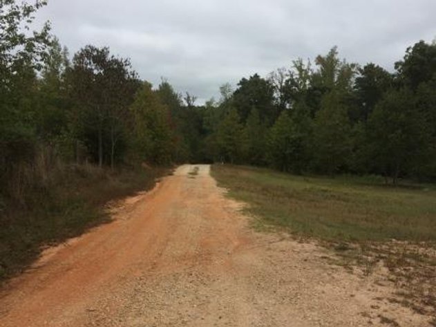 Image for Online Only Lender Liquidation Auction of 1,440± SF Home on 4.44± Acres in Mansfield, GA