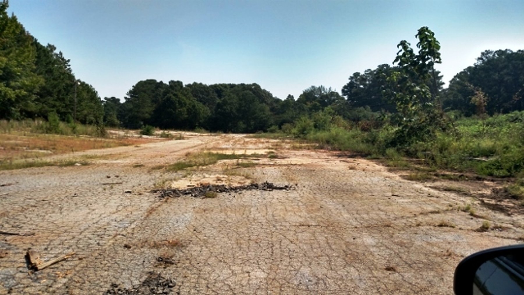 Image for Lender Owned Auction of Former Pike Nursery