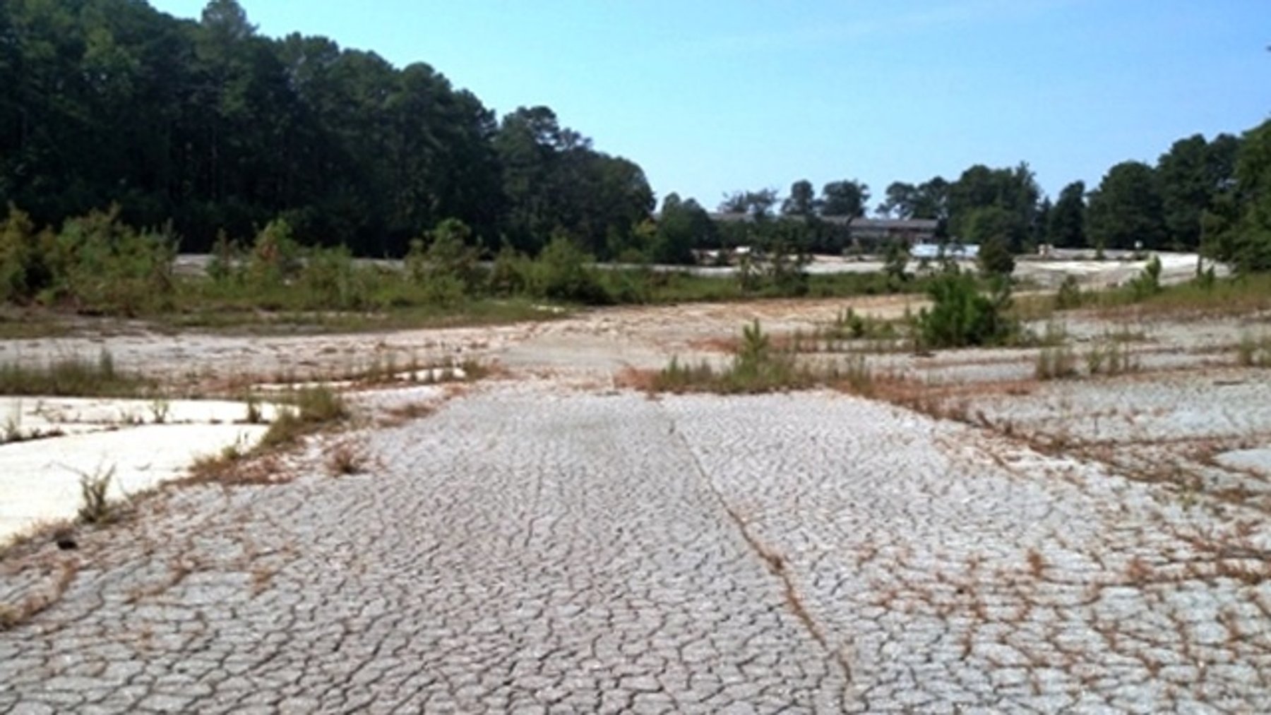 Image for Lender Owned Auction of Former Pike Nursery