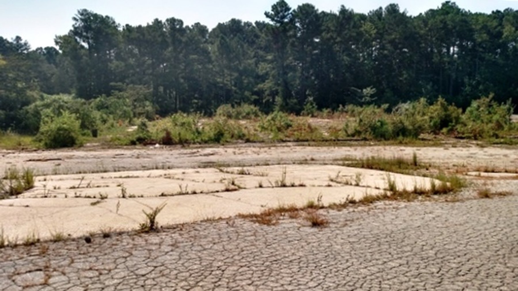 Image for Lender Owned Auction of Former Pike Nursery
