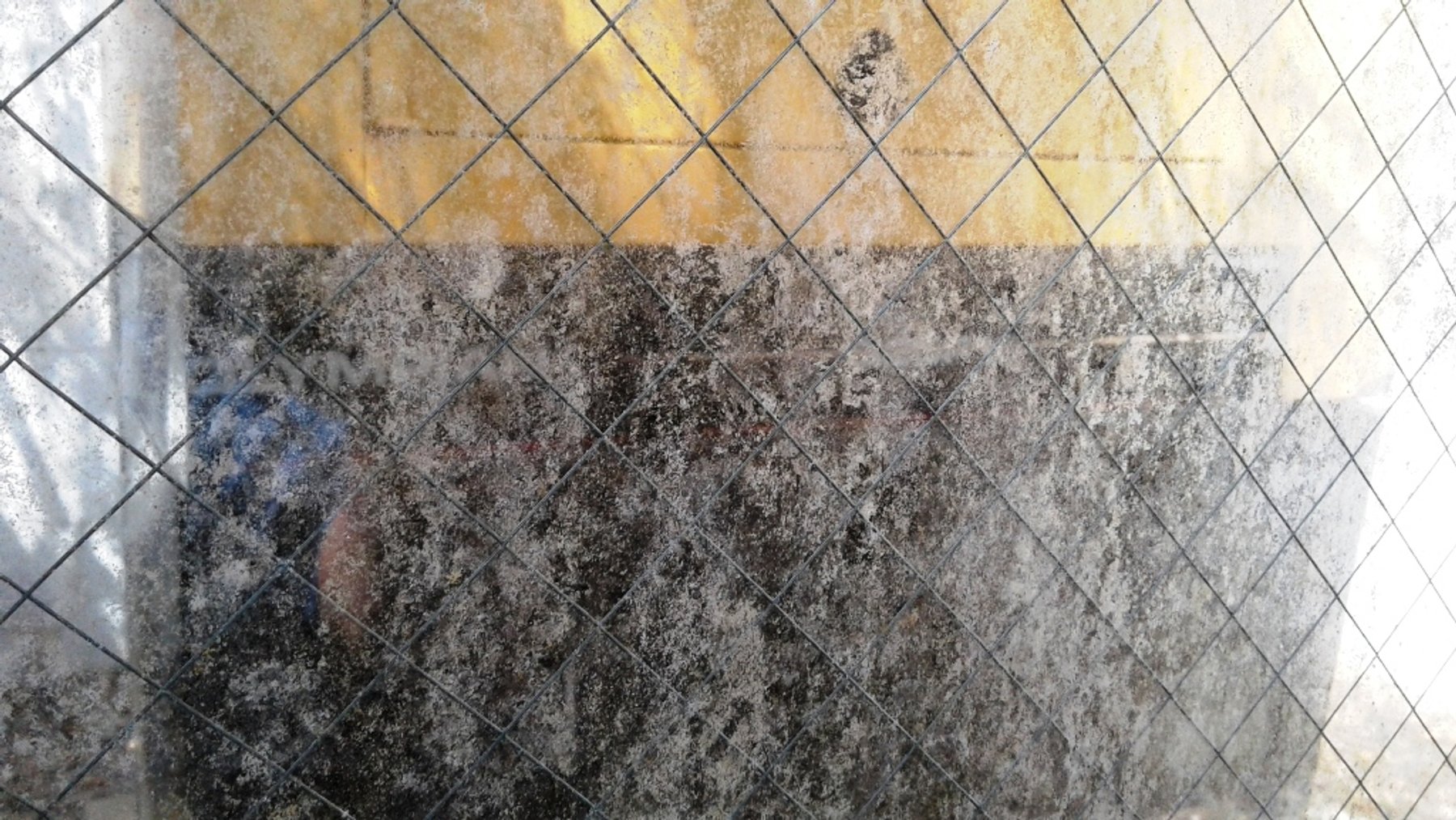 Image for 4,000±SF SFR on 1.45± Acres in Ormond Beach, FL 32174 (Volusia County)