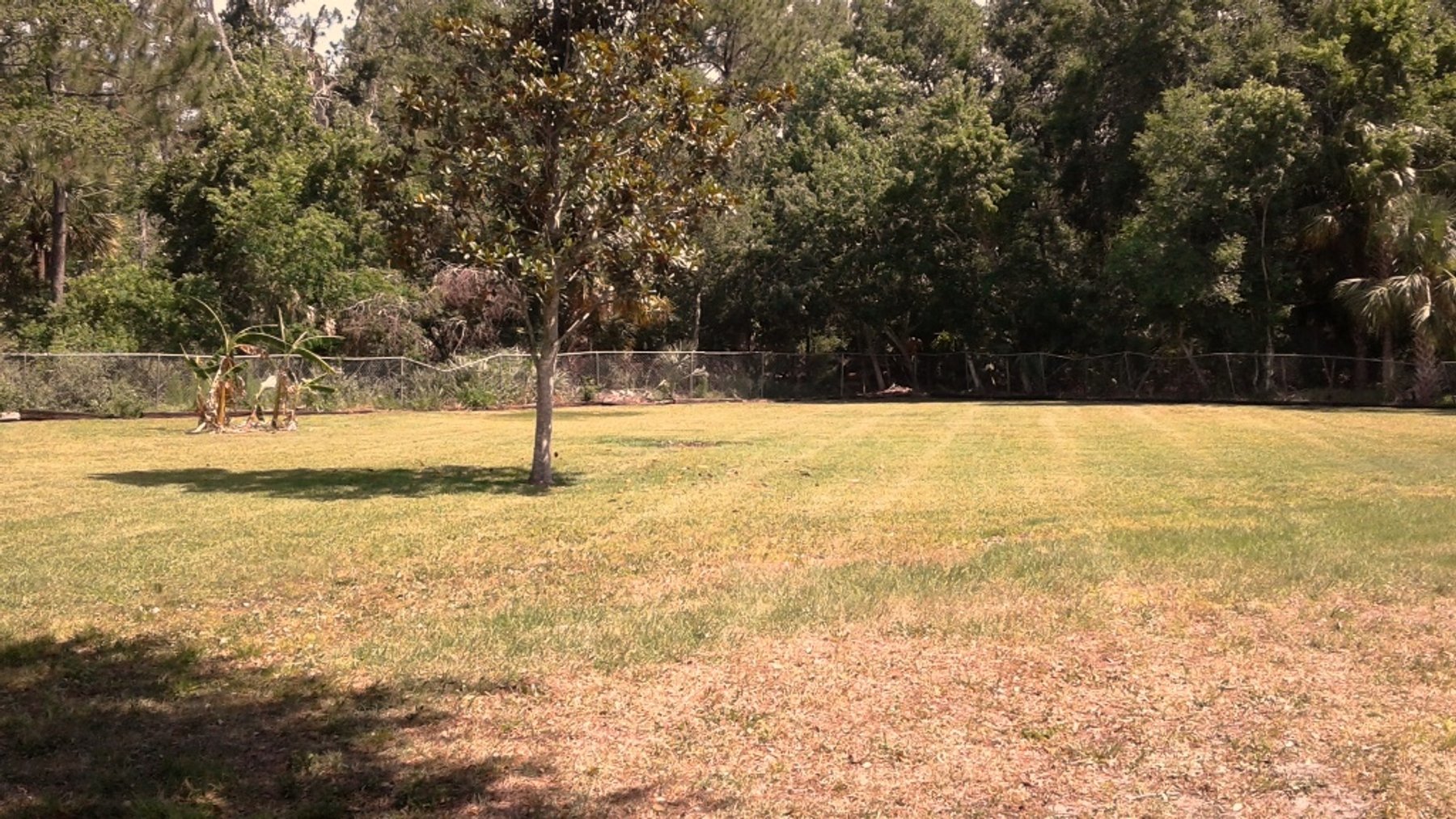 Image for 4,000±SF SFR on 1.45± Acres in Ormond Beach, FL 32174 (Volusia County)