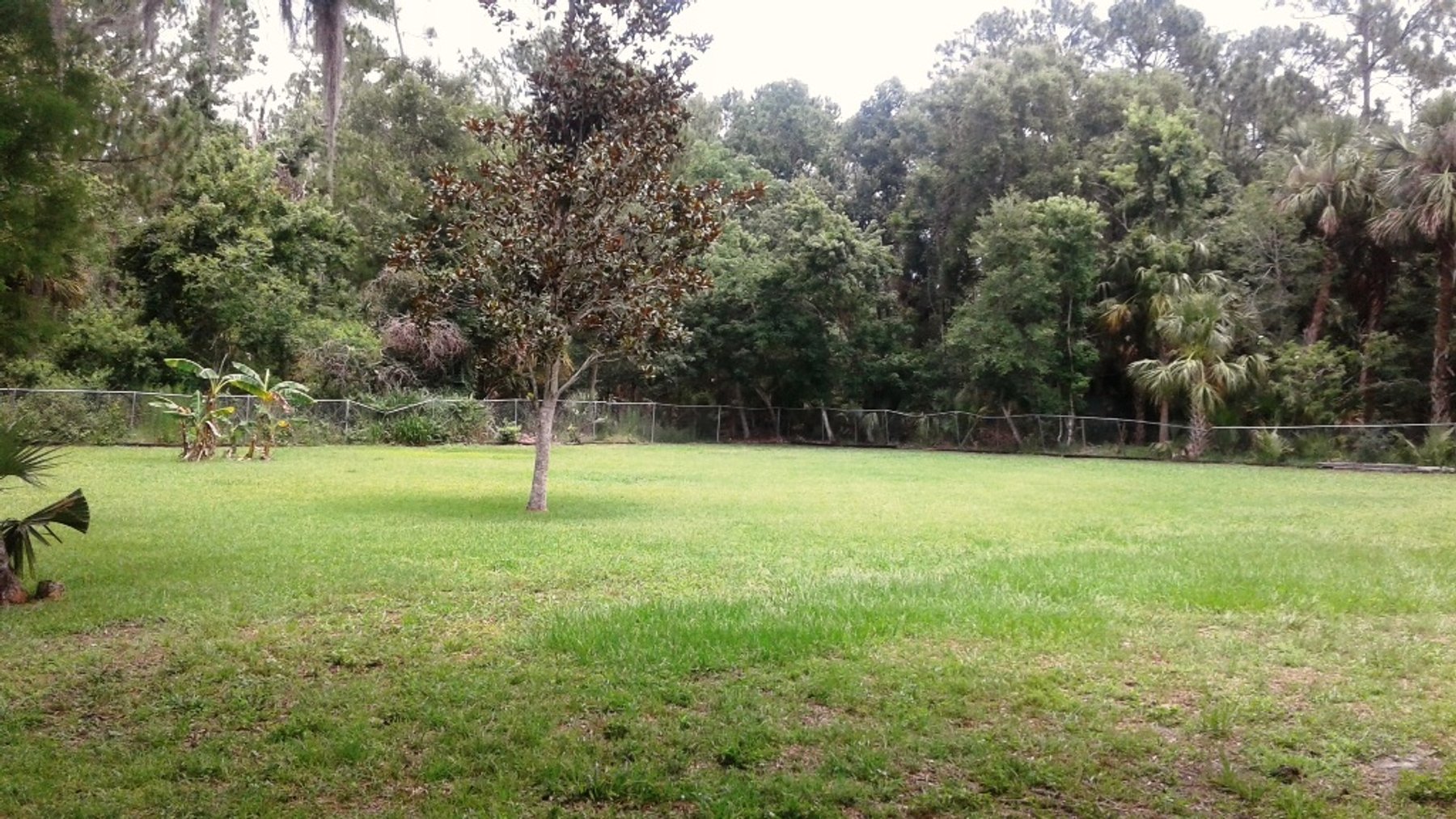 Image for 4,000±SF SFR on 1.45± Acres in Ormond Beach, FL 32174 (Volusia County)