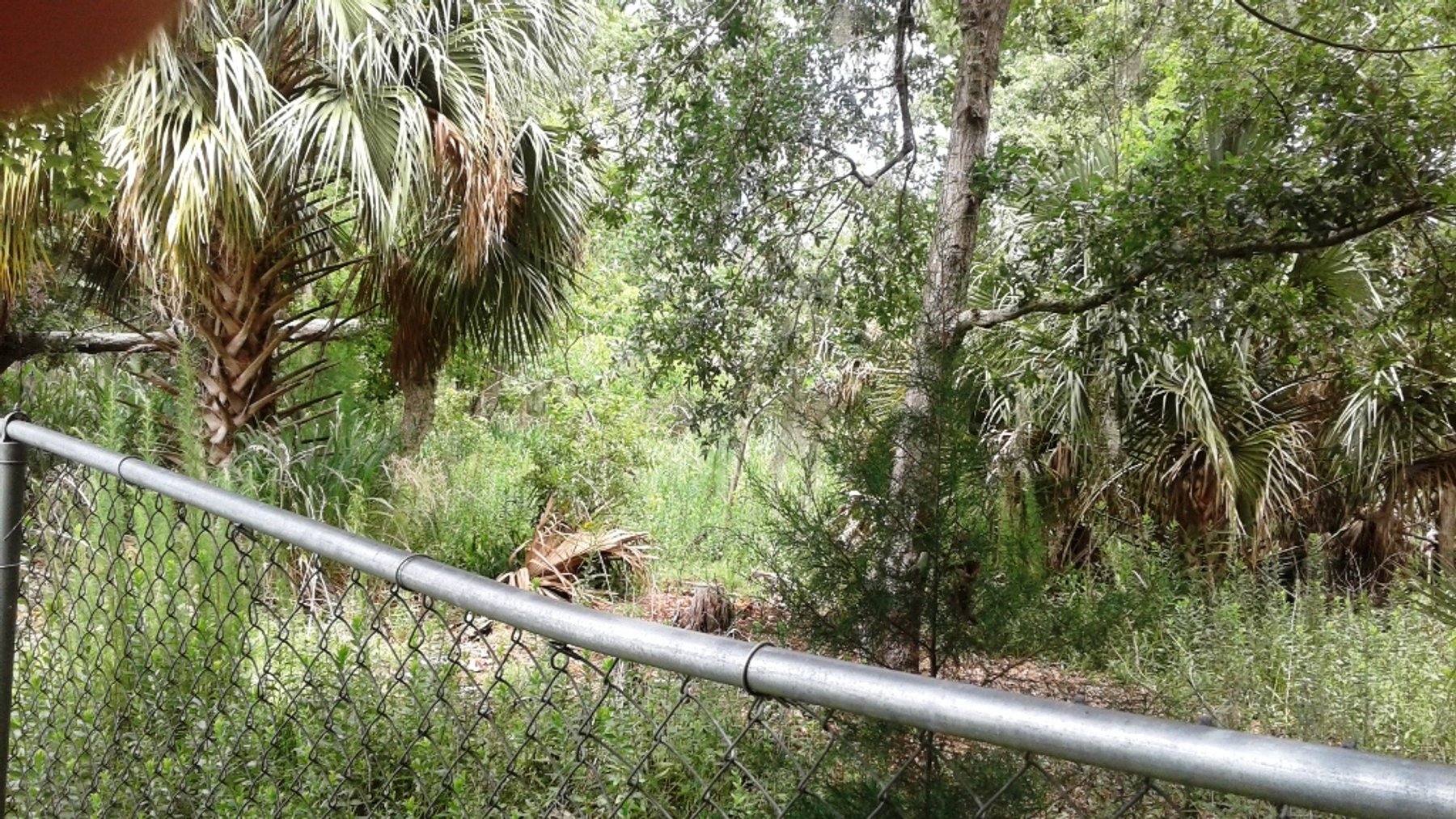 Image for 4,000±SF SFR on 1.45± Acres in Ormond Beach, FL 32174 (Volusia County)