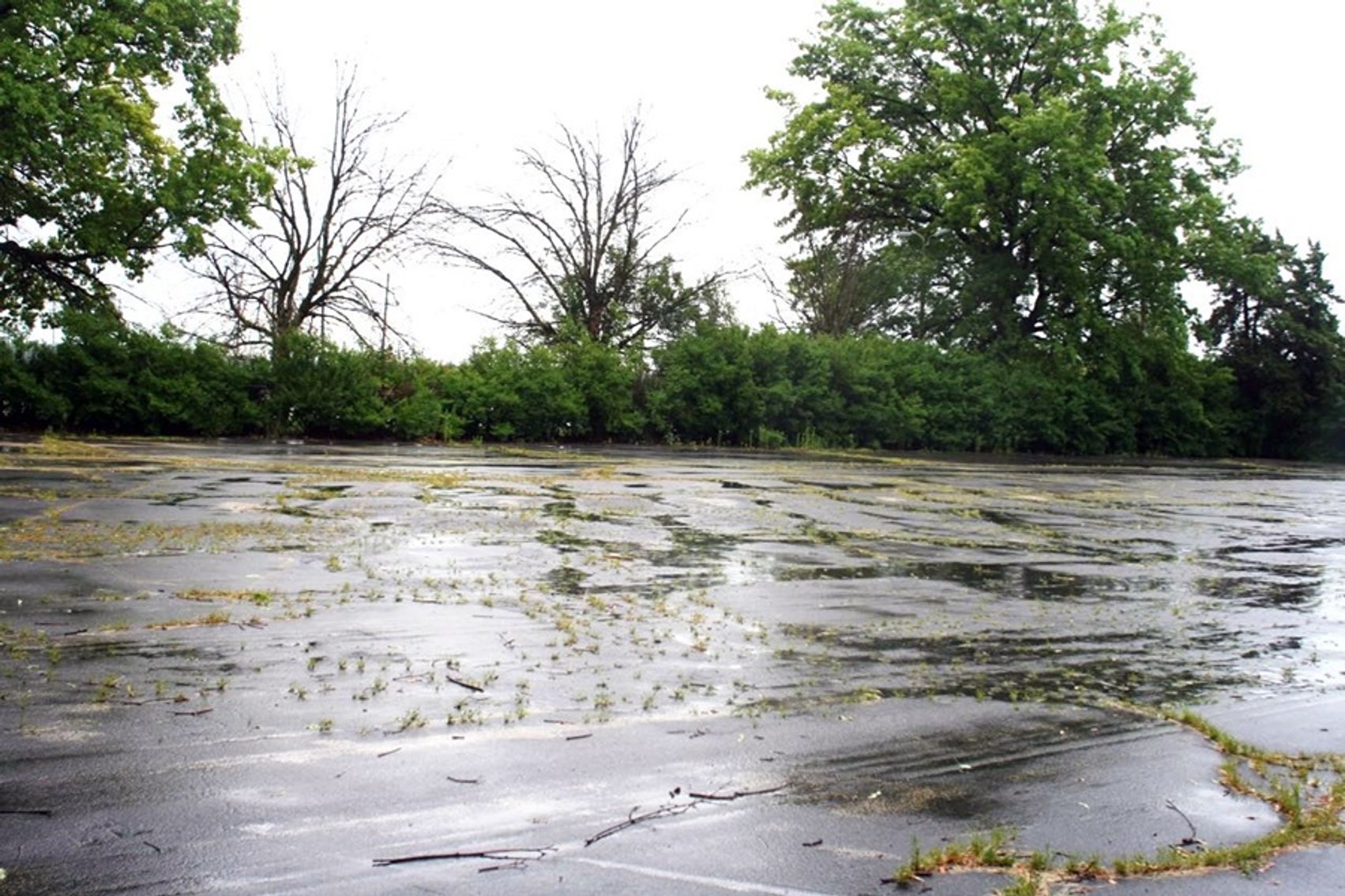 Image for Lender Owned Absolute Auction of 176,200±SF Industrial/ Manufacturing Bldg. on 32± Acres in Byron, IL (Ogle County)