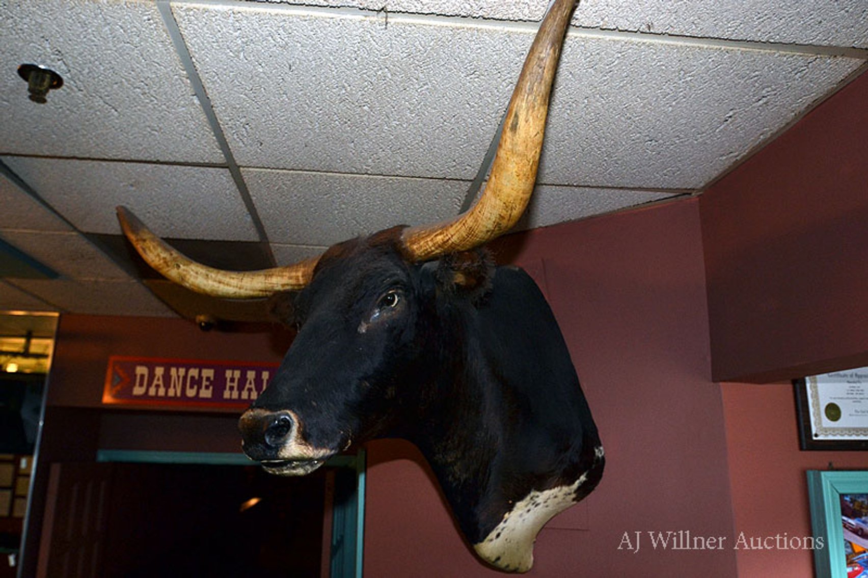 Image for Restaurant Equipment & Watchung, NJ 