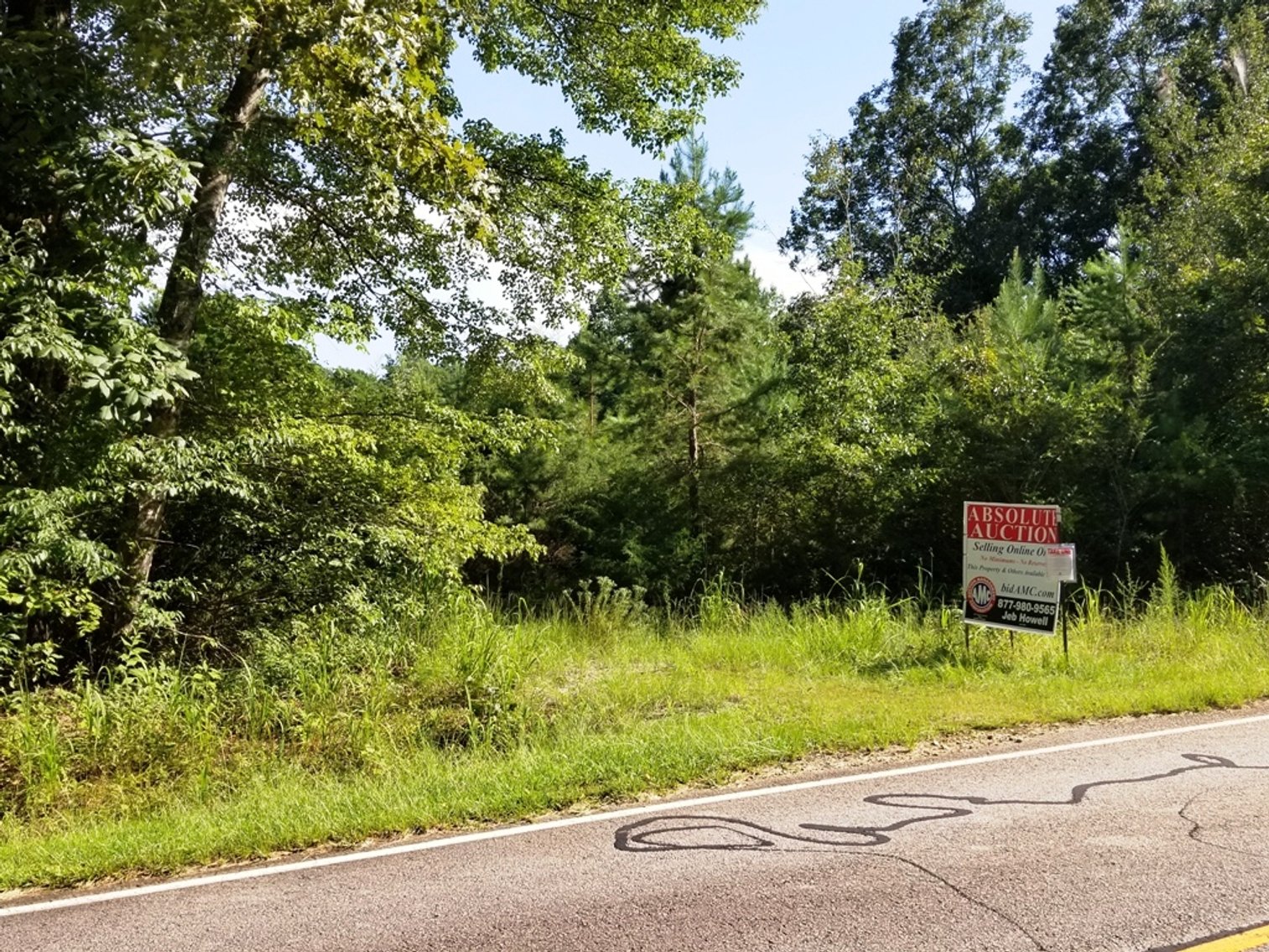 Image for 7.4± Acres of Wooded Land at 1698 Jenkins Ferry Rd, Martin, GA 30557 (Stephens County)