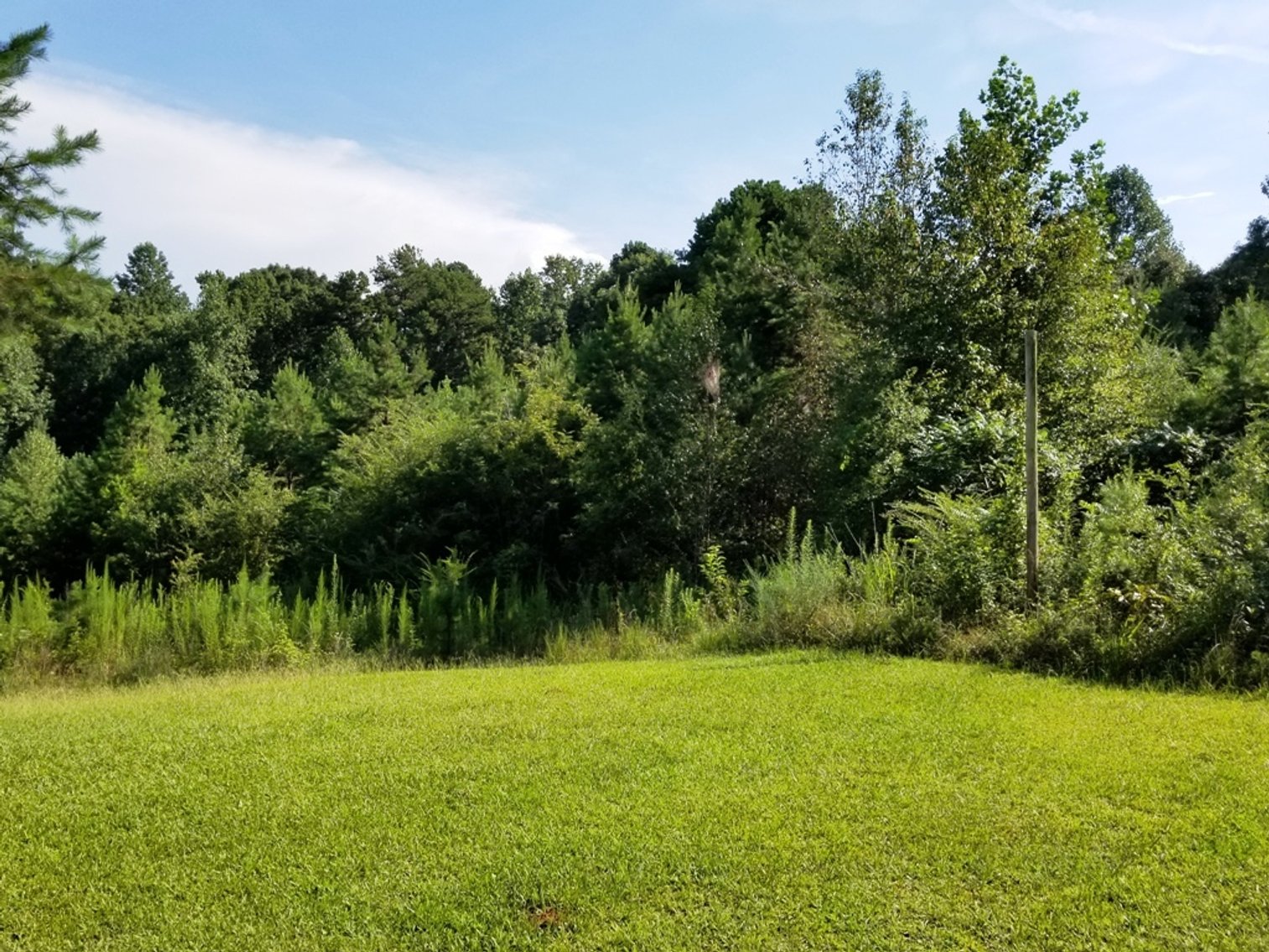 Image for 7.4± Acres of Wooded Land at 1698 Jenkins Ferry Rd, Martin, GA 30557 (Stephens County)