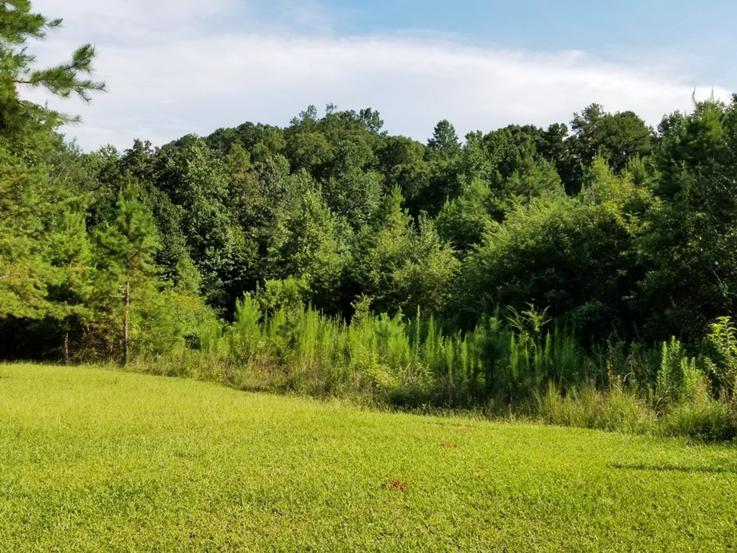 Image for 7.4± Acres of Wooded Land at 1698 Jenkins Ferry Rd, Martin, GA 30557 (Stephens County)