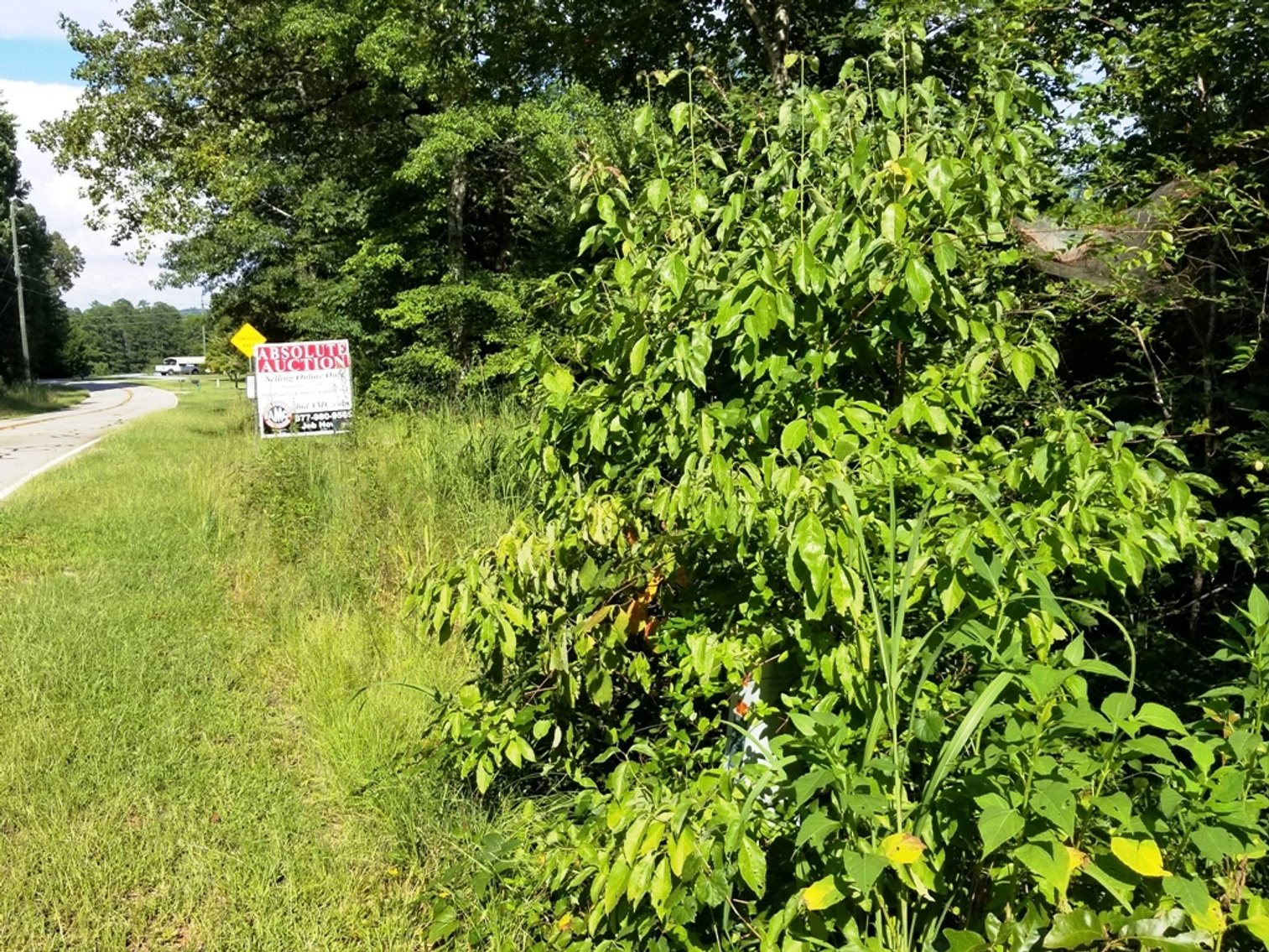 Image for 7.4± Acres of Wooded Land at 1698 Jenkins Ferry Rd, Martin, GA 30557 (Stephens County)