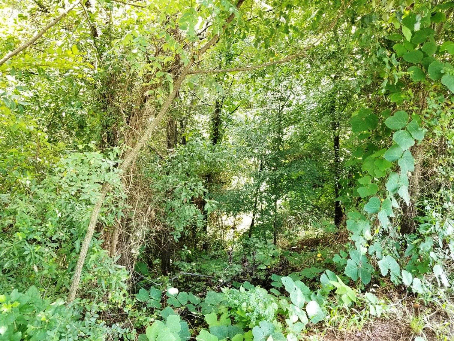 Image for .9± Acres of Commercial Land at 137 E. May St, Winder, GA 30680 (Barrow County)