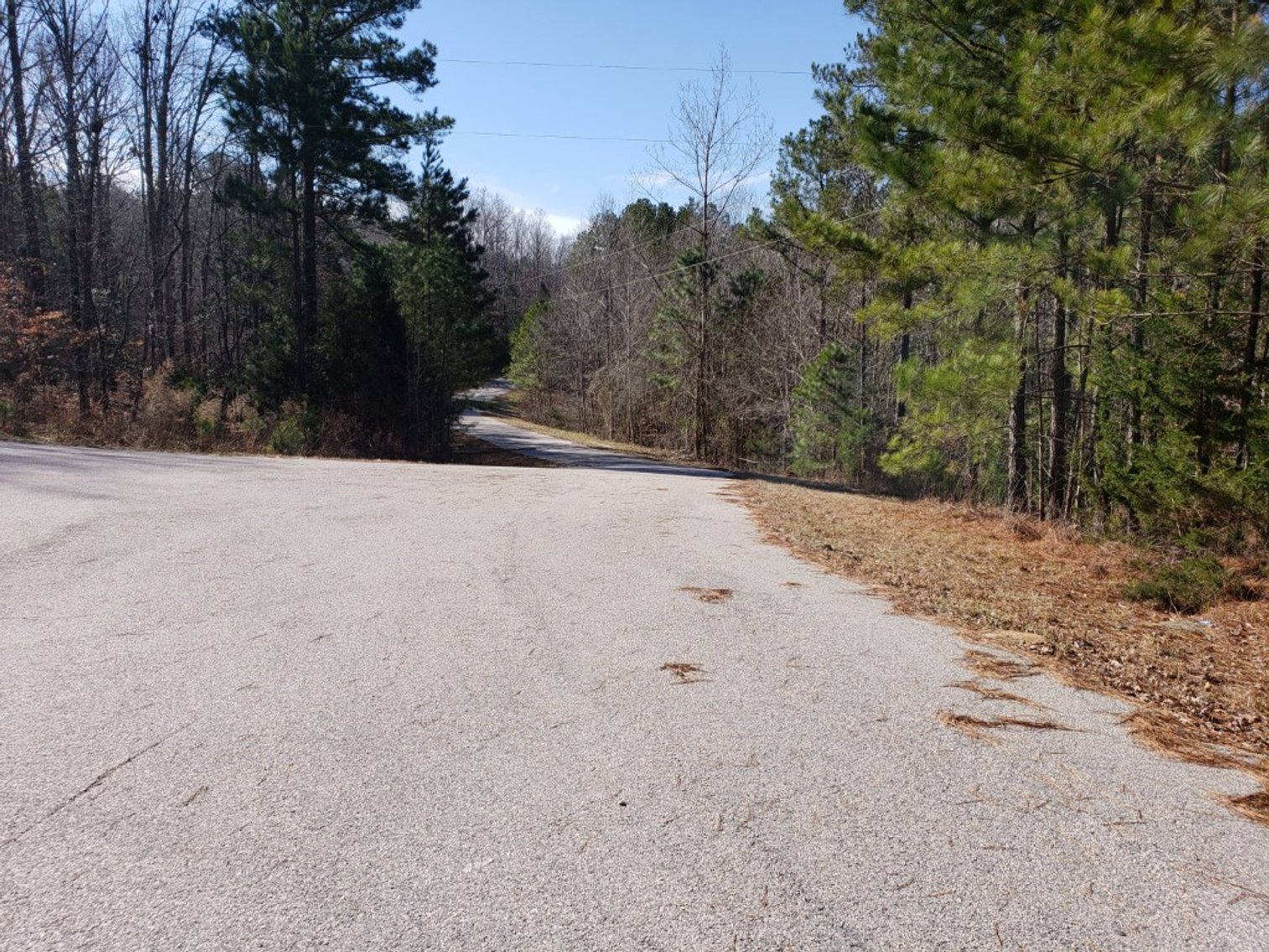 Image for Absolute Auction of .68± Acre Waterfront Lot on Cedar Creek Lake & 1.39± Acre Lot in Debutary Pointe Subdivision in Great Falls, SC (Fairfield Co.)