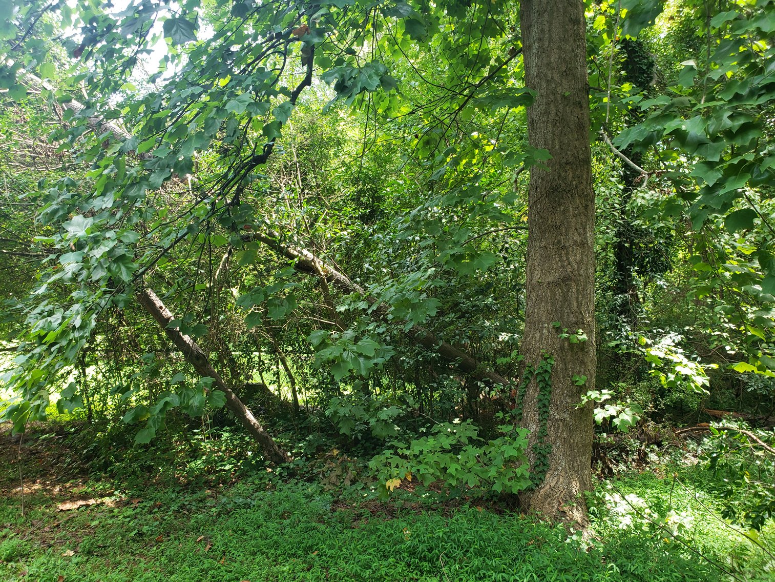 Image for Tucker GA: 3BR/ 2BA at 1456 Drayton Woods Dr. Tucker, GA 30084 (DeKalb County)