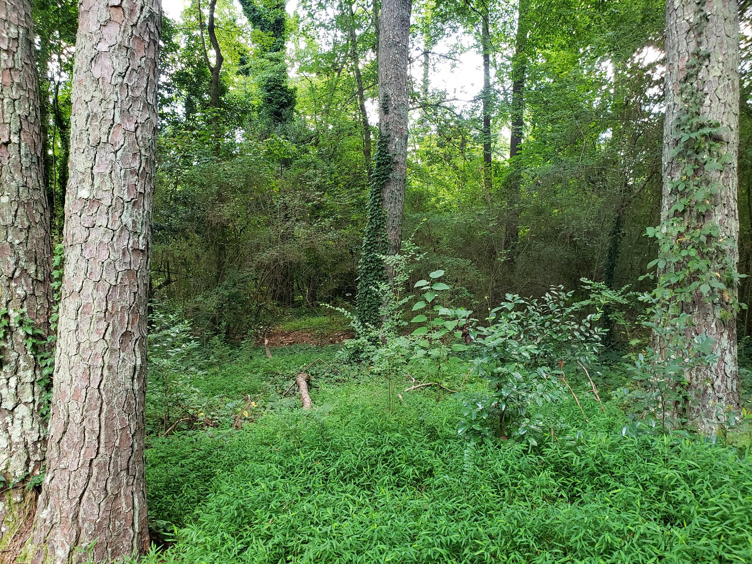 Image for Tucker GA: 3BR/ 2BA at 1456 Drayton Woods Dr. Tucker, GA 30084 (DeKalb County)