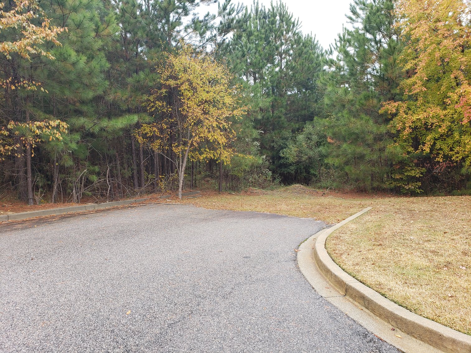 Image for Irmo, SC: 5 Development Parcels on 3.06+ Acres at 7448 Broad River Rd., Irmo, SC 29063 (Richland County)