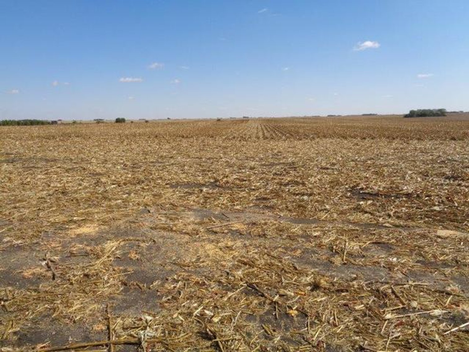 Image for CALHOUN COUNTY IOWA FARMLAND