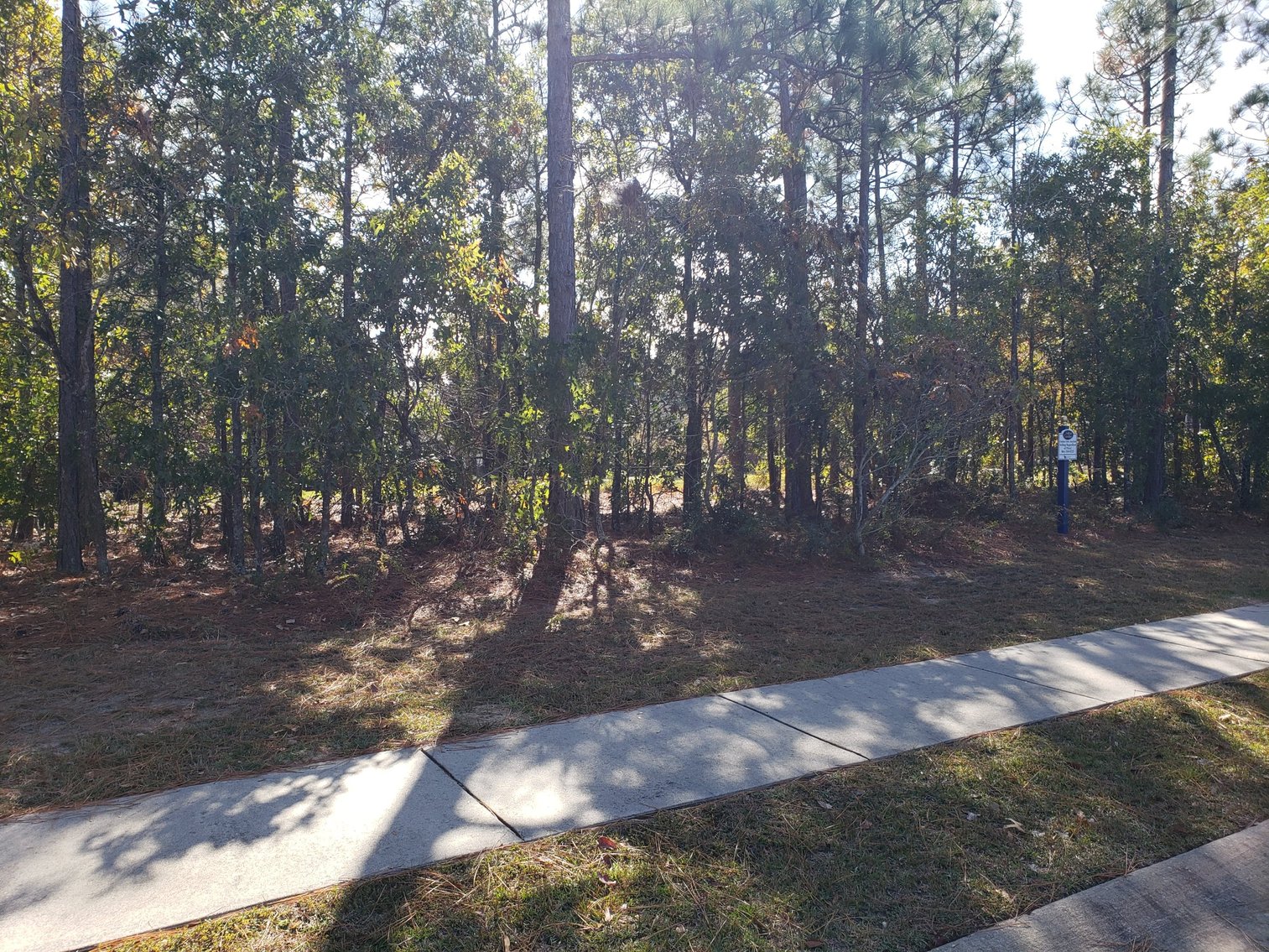 Image for Property #101: Columbia, SC: .37± Acre Corner Lot in Lake Carolina at 41 Clipper Way, Columbia, SC 29229 (Richland County)