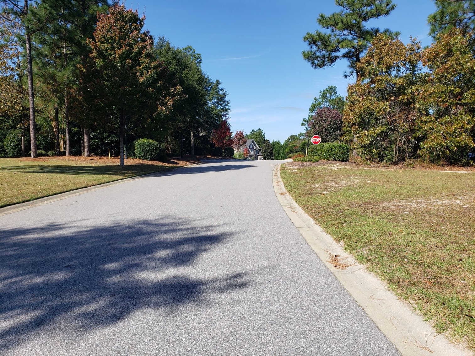Image for Property #101: Columbia, SC: .37± Acre Corner Lot in Lake Carolina at 41 Clipper Way, Columbia, SC 29229 (Richland County)