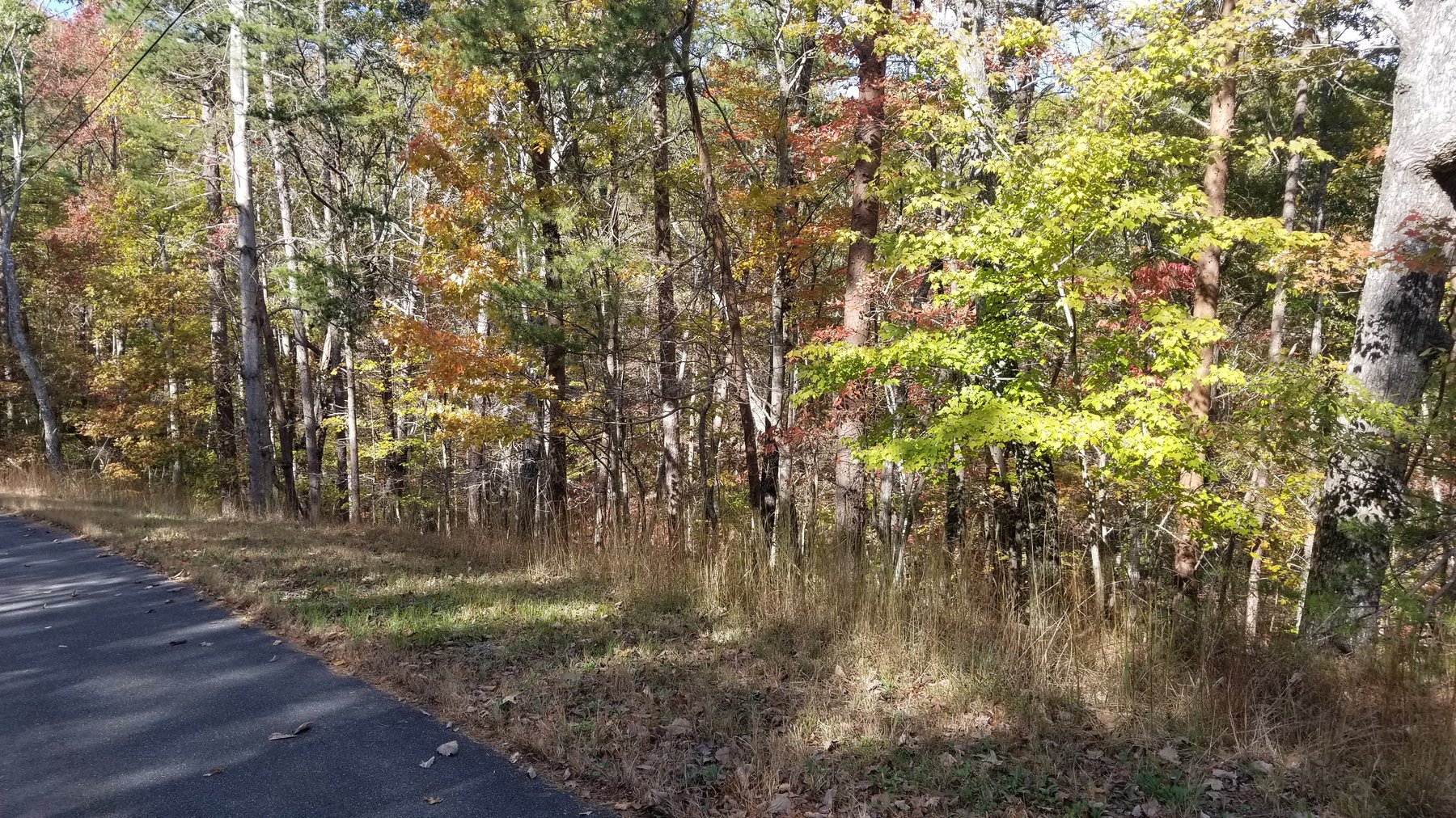 Image for Property #303: Waleska, GA: 1± Acre Lot in Lake Arrowhead Yacht & Country Club at 177 Lakewood Dr., Waleska, GA 30183 (Cherokee County)