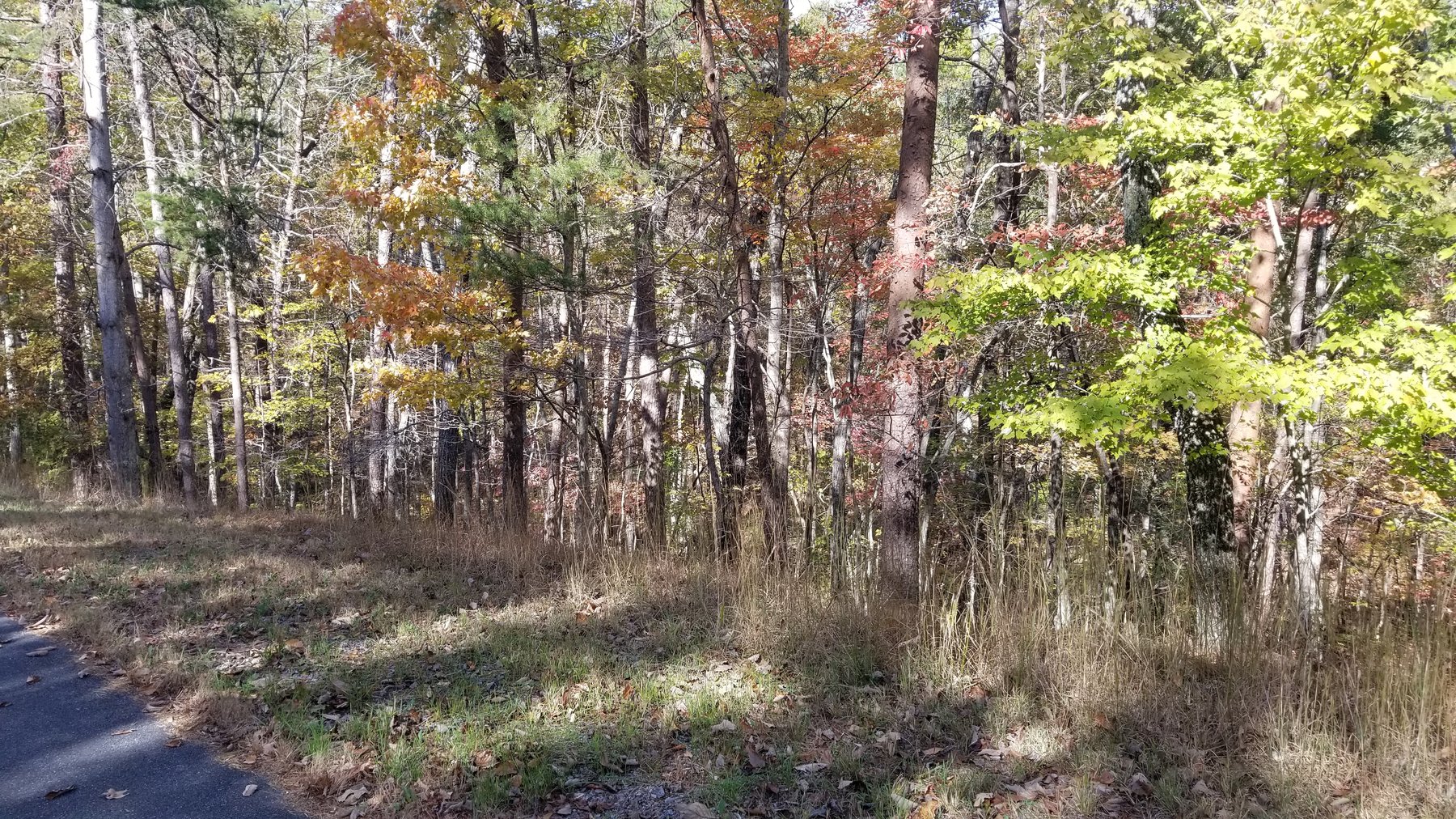 Image for Property #303: Waleska, GA: 1± Acre Lot in Lake Arrowhead Yacht & Country Club at 177 Lakewood Dr., Waleska, GA 30183 (Cherokee County)