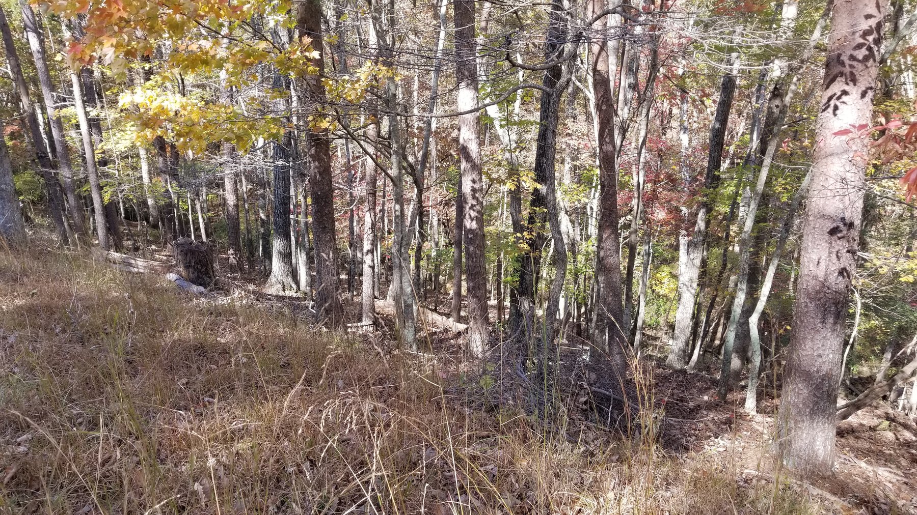 Image for Property #303: Waleska, GA: 1± Acre Lot in Lake Arrowhead Yacht & Country Club at 177 Lakewood Dr., Waleska, GA 30183 (Cherokee County)