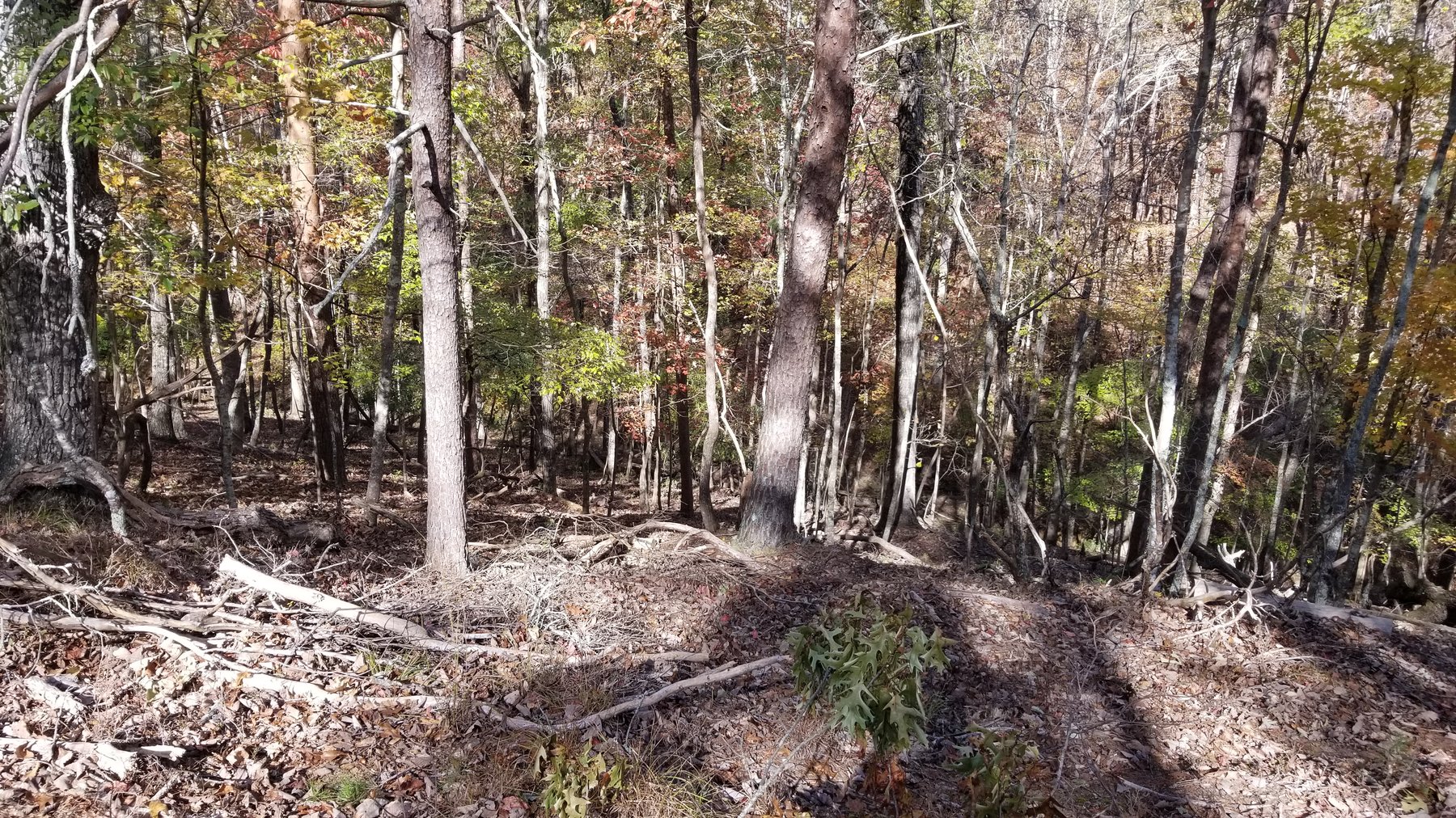 Image for Property #303: Waleska, GA: 1± Acre Lot in Lake Arrowhead Yacht & Country Club at 177 Lakewood Dr., Waleska, GA 30183 (Cherokee County)