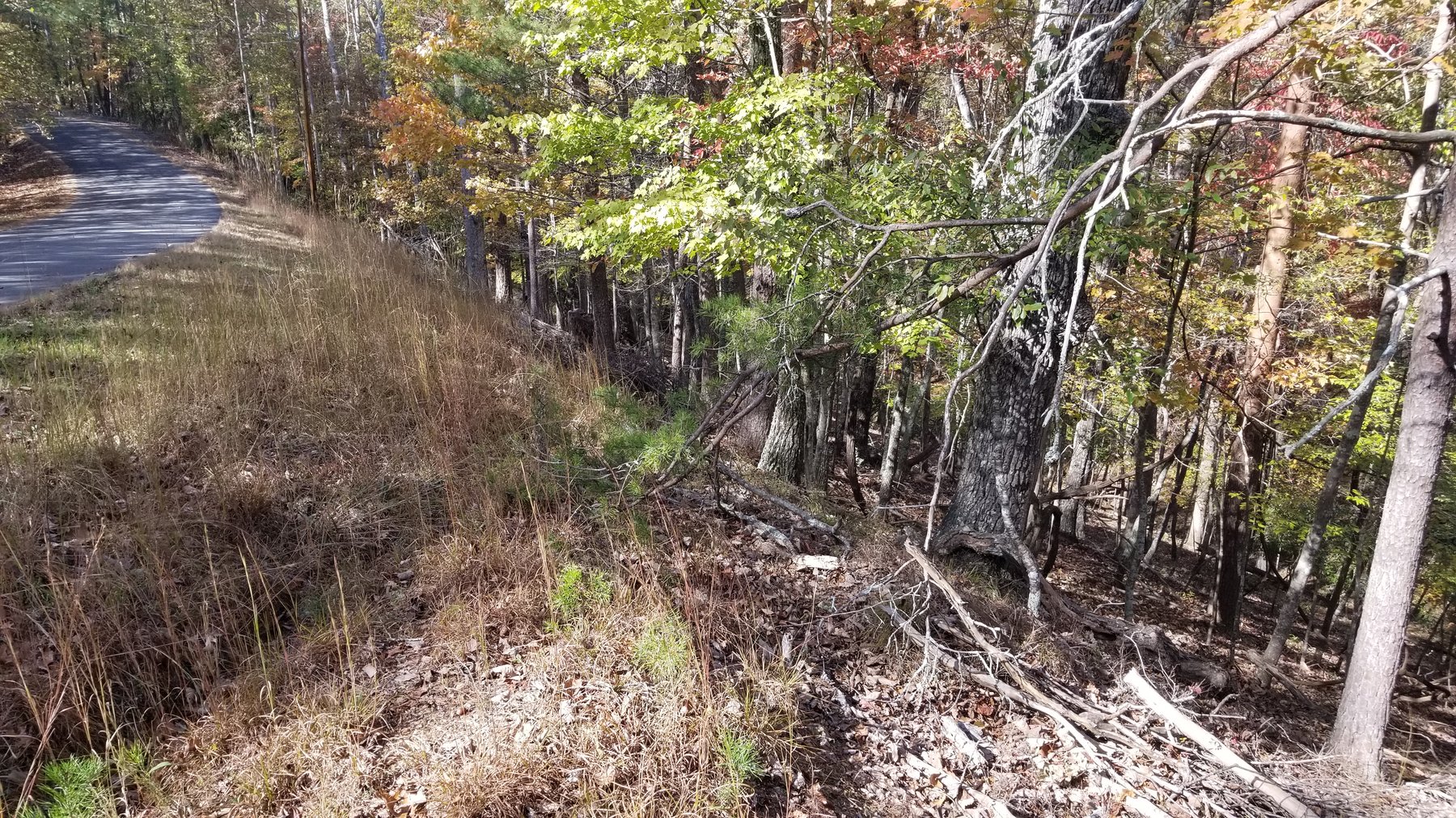 Image for Property #303: Waleska, GA: 1± Acre Lot in Lake Arrowhead Yacht & Country Club at 177 Lakewood Dr., Waleska, GA 30183 (Cherokee County)