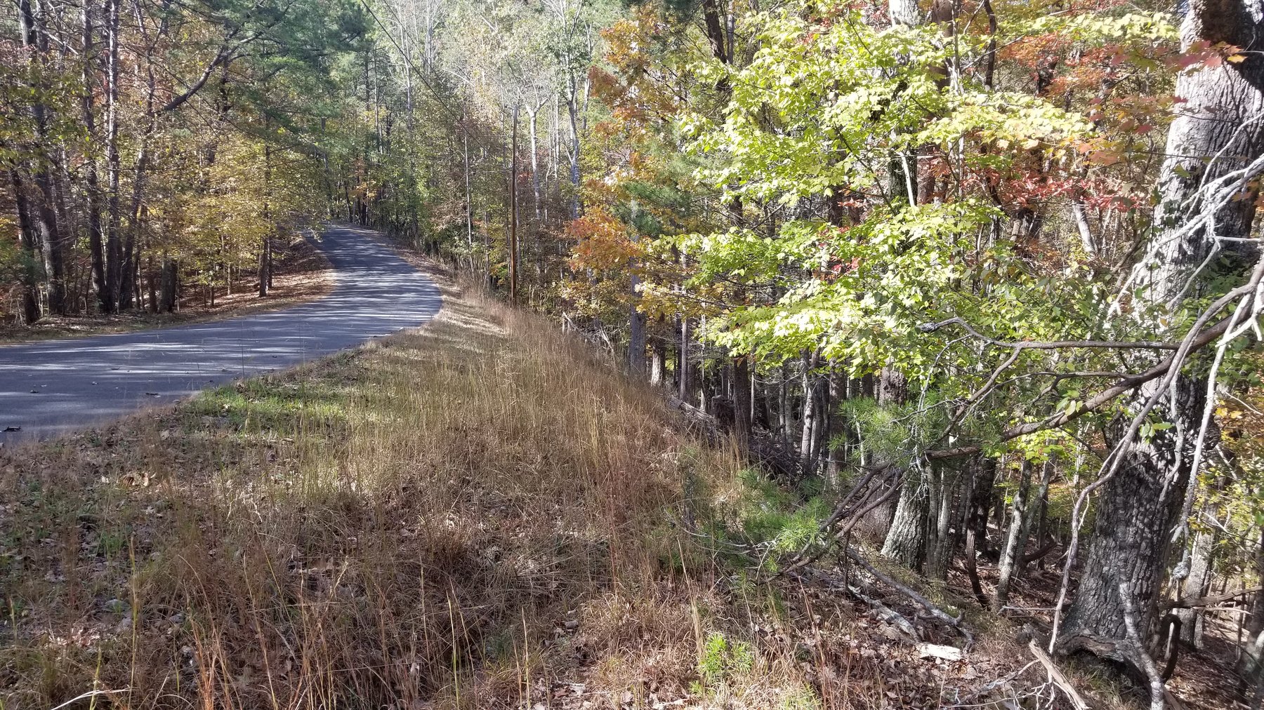 Image for Property #303: Waleska, GA: 1± Acre Lot in Lake Arrowhead Yacht & Country Club at 177 Lakewood Dr., Waleska, GA 30183 (Cherokee County)