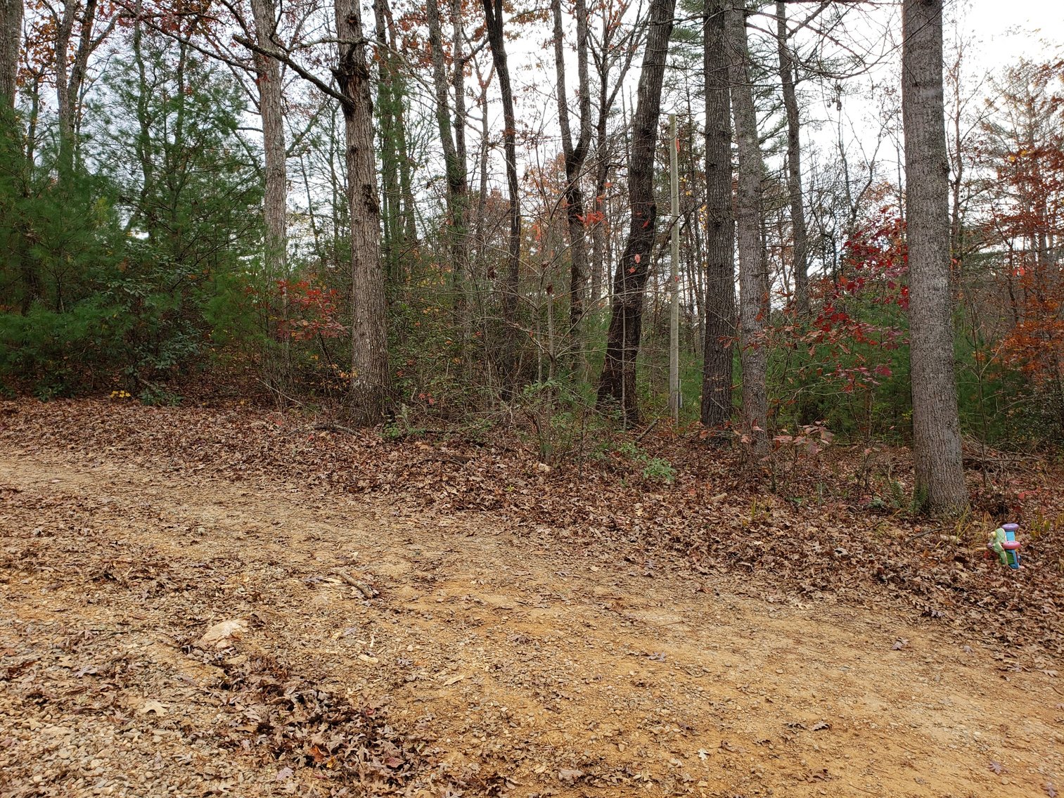 Image for Property #201: Murphy, NC: 1± Acre Lot at 10 Picon Grove Lane, Murphy, NC 28906 (Cherokee County)