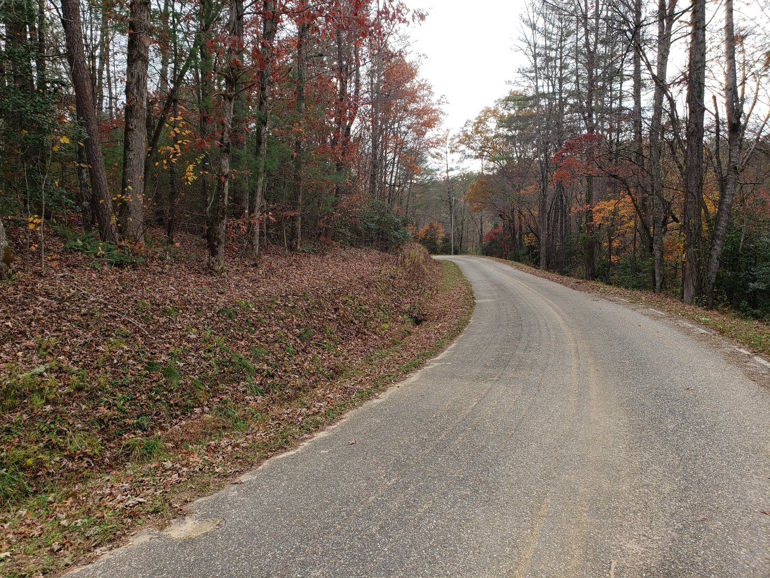 Image for Property #201: Murphy, NC: 1± Acre Lot at 10 Picon Grove Lane, Murphy, NC 28906 (Cherokee County)