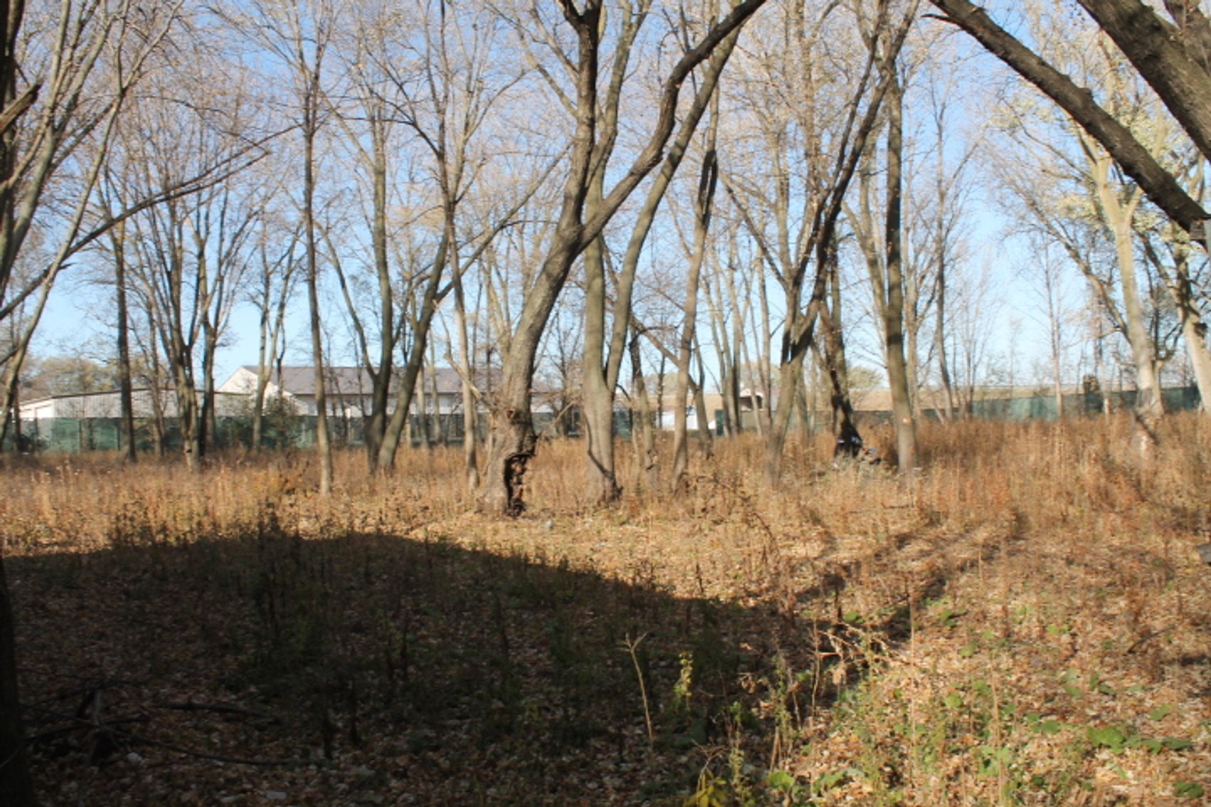 Image for Lake View, Iowa Homes & Large Lot