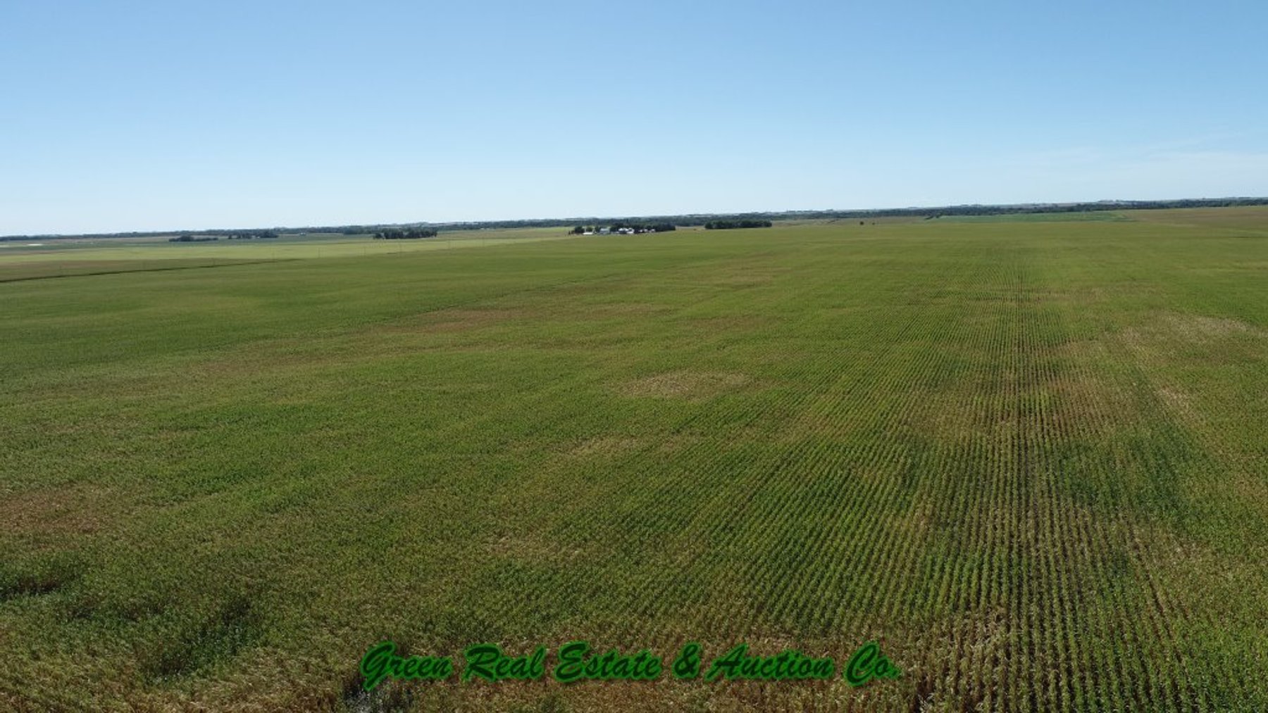Image for Sac County, Iowa Land Auction