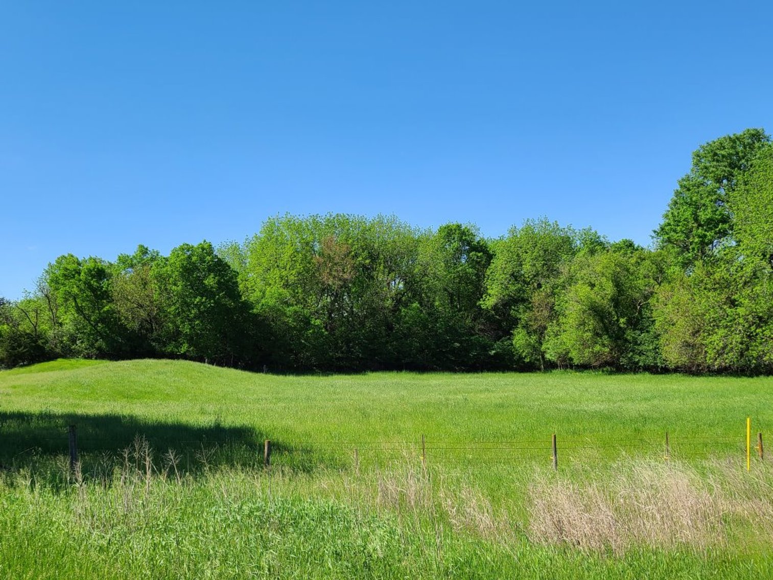 Image for Sac County, Iowa Pastureland & Estate Acreage Equipment Auction