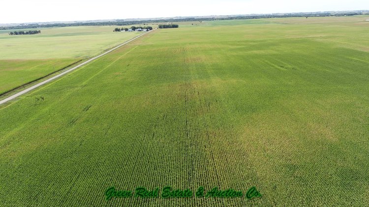 Image for Land Auction Results