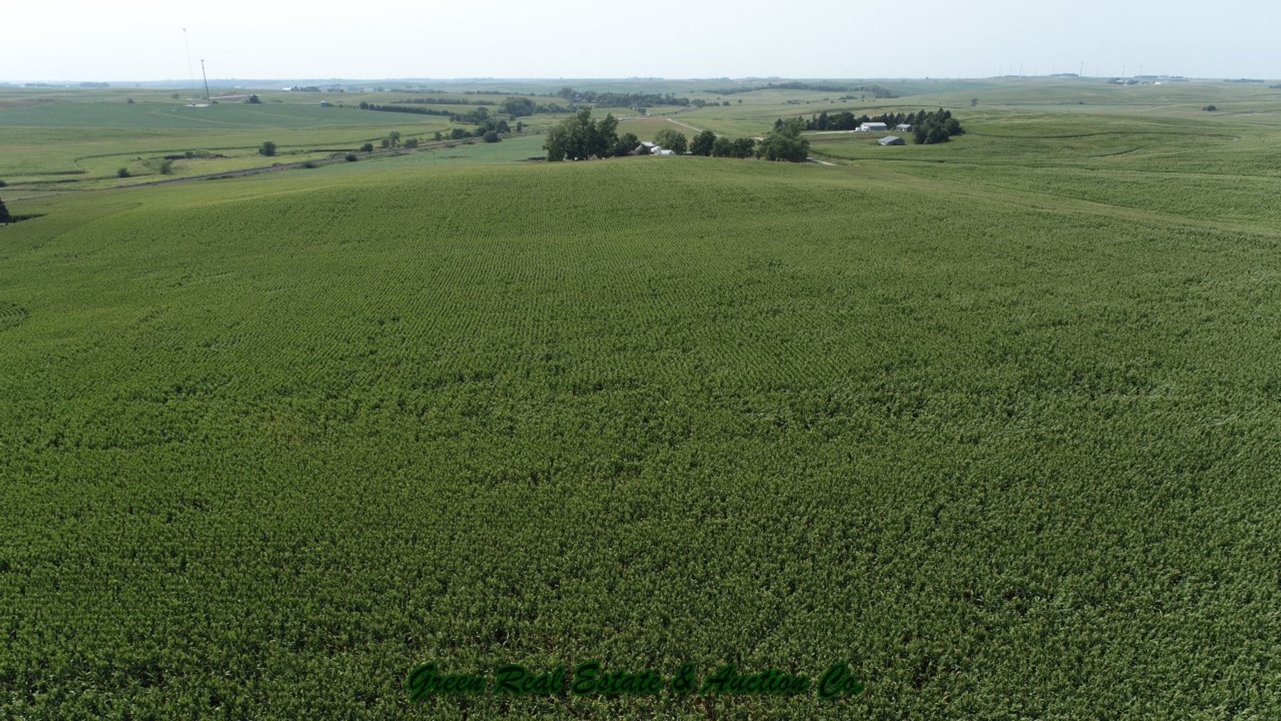 Image for Land Auction Results