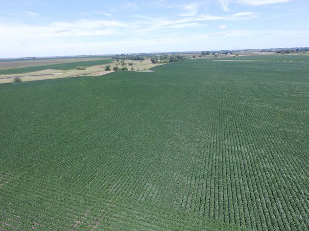 Image for Land Auction Results