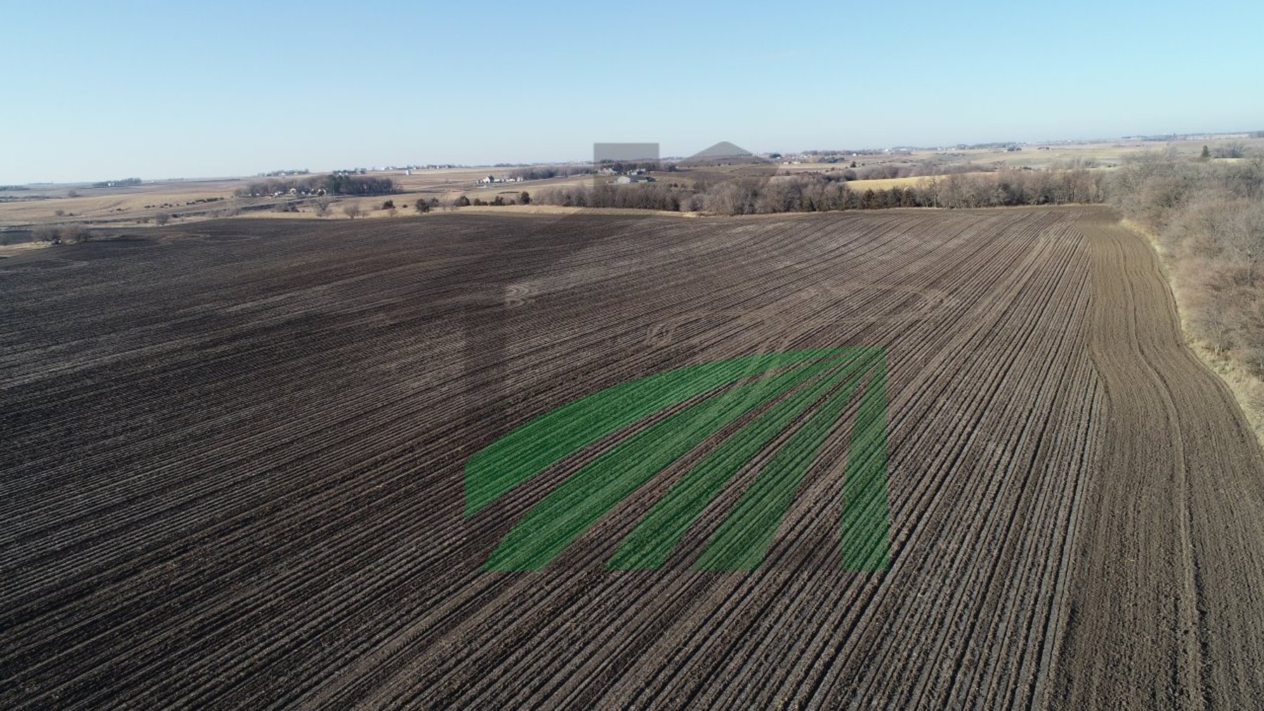 Image for Sac County, Iowa Farmland Auction