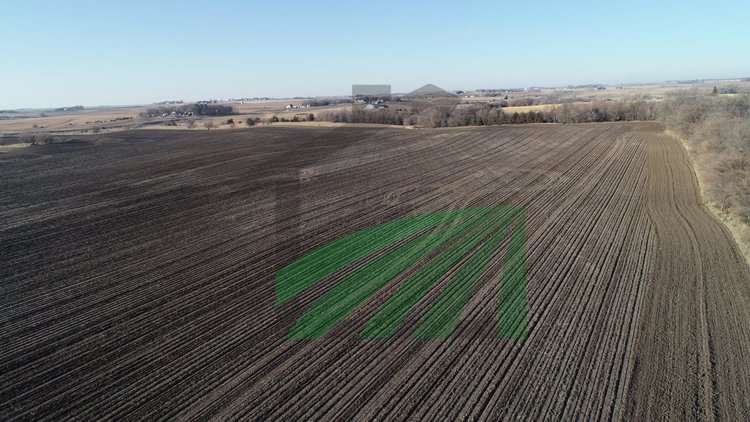 Image for Sac County, Iowa Farmland Auction