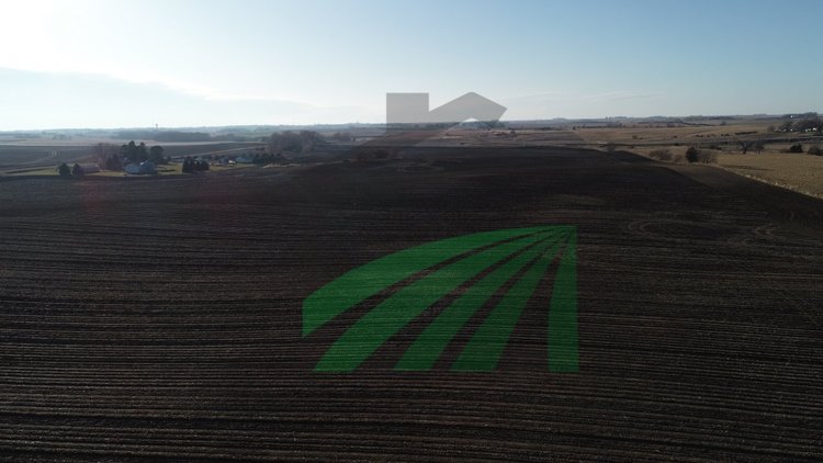 Image for Sac County, Iowa Farmland Auction