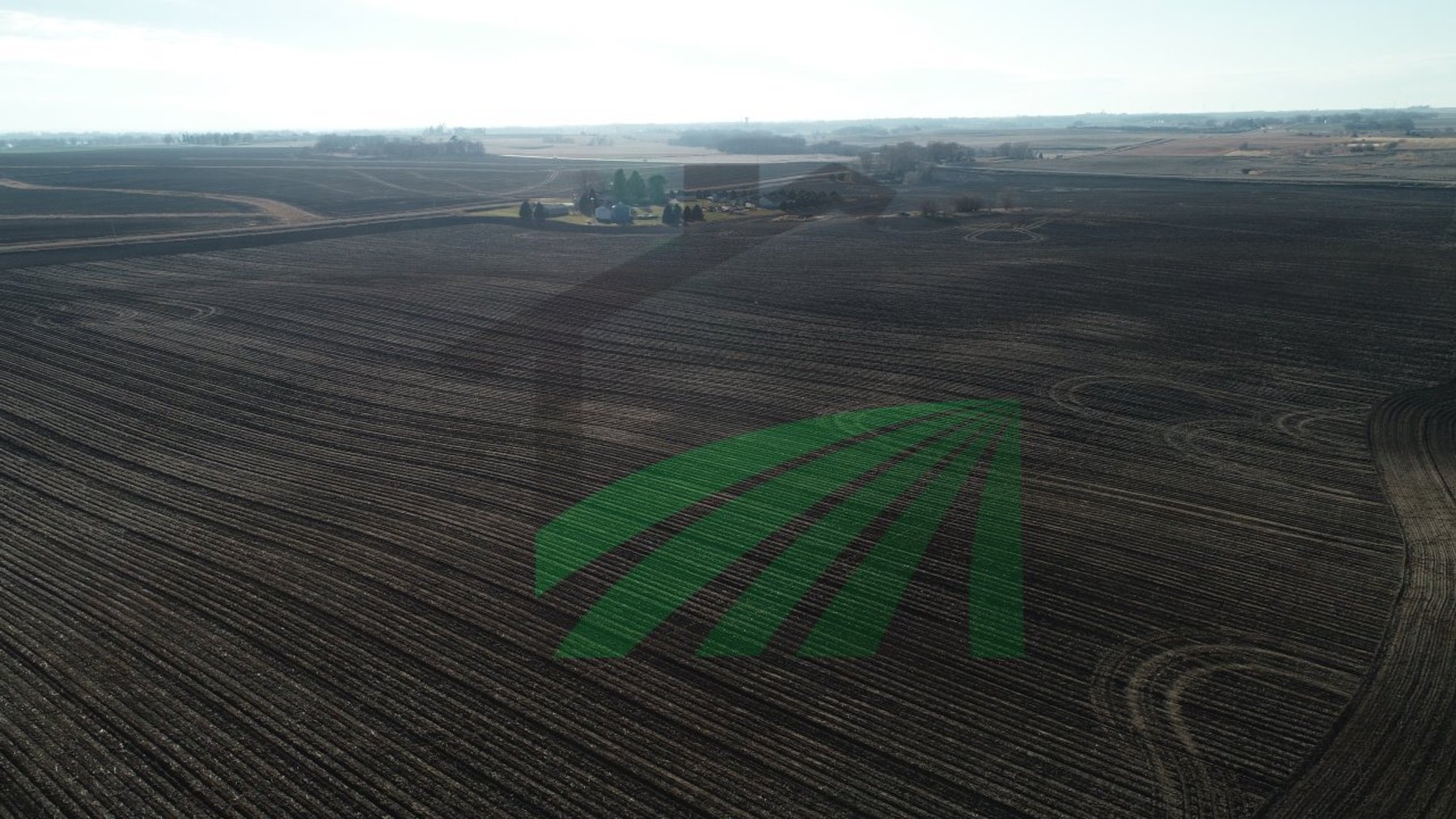 Image for Sac County, Iowa Farmland Auction