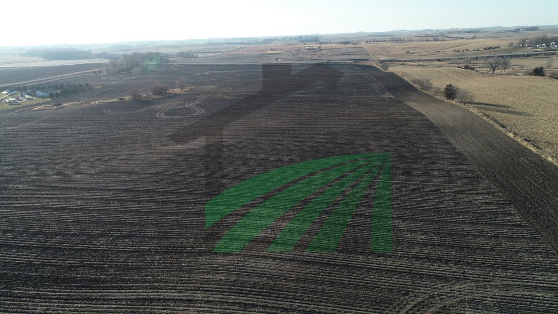 Image for Sac County, Iowa Farmland Auction