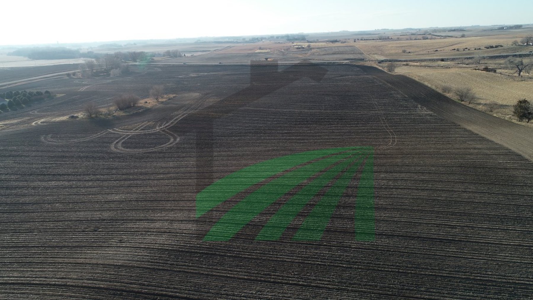 Image for Sac County, Iowa Farmland Auction