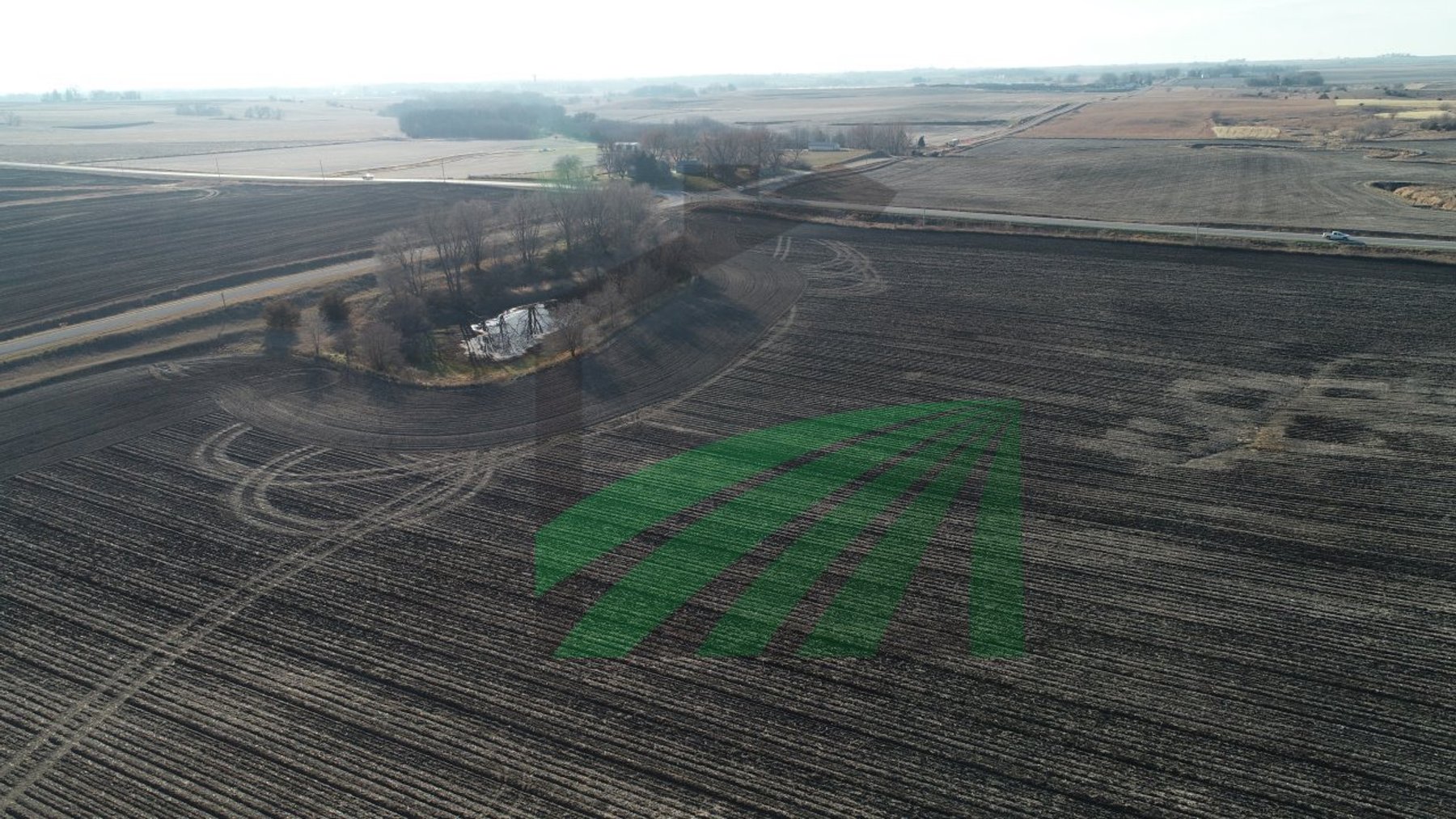 Image for Sac County, Iowa Farmland Auction