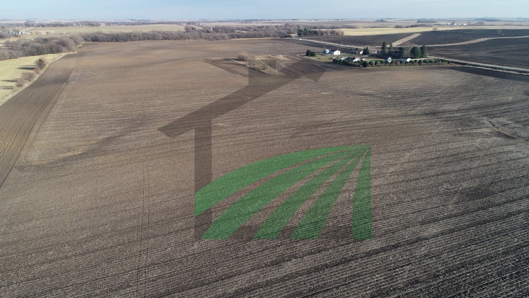 Image for Sac County, Iowa Farmland Auction