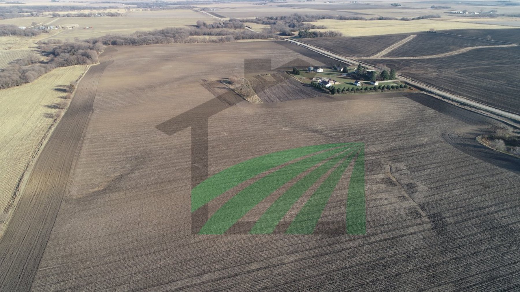 Image for Sac County, Iowa Farmland Auction