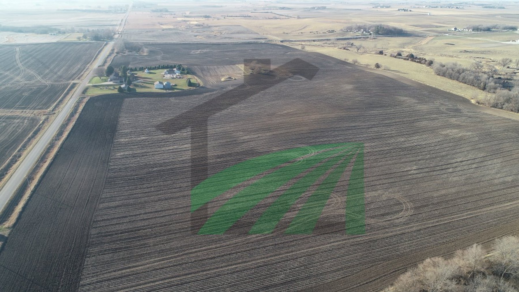 Image for Sac County, Iowa Farmland Auction