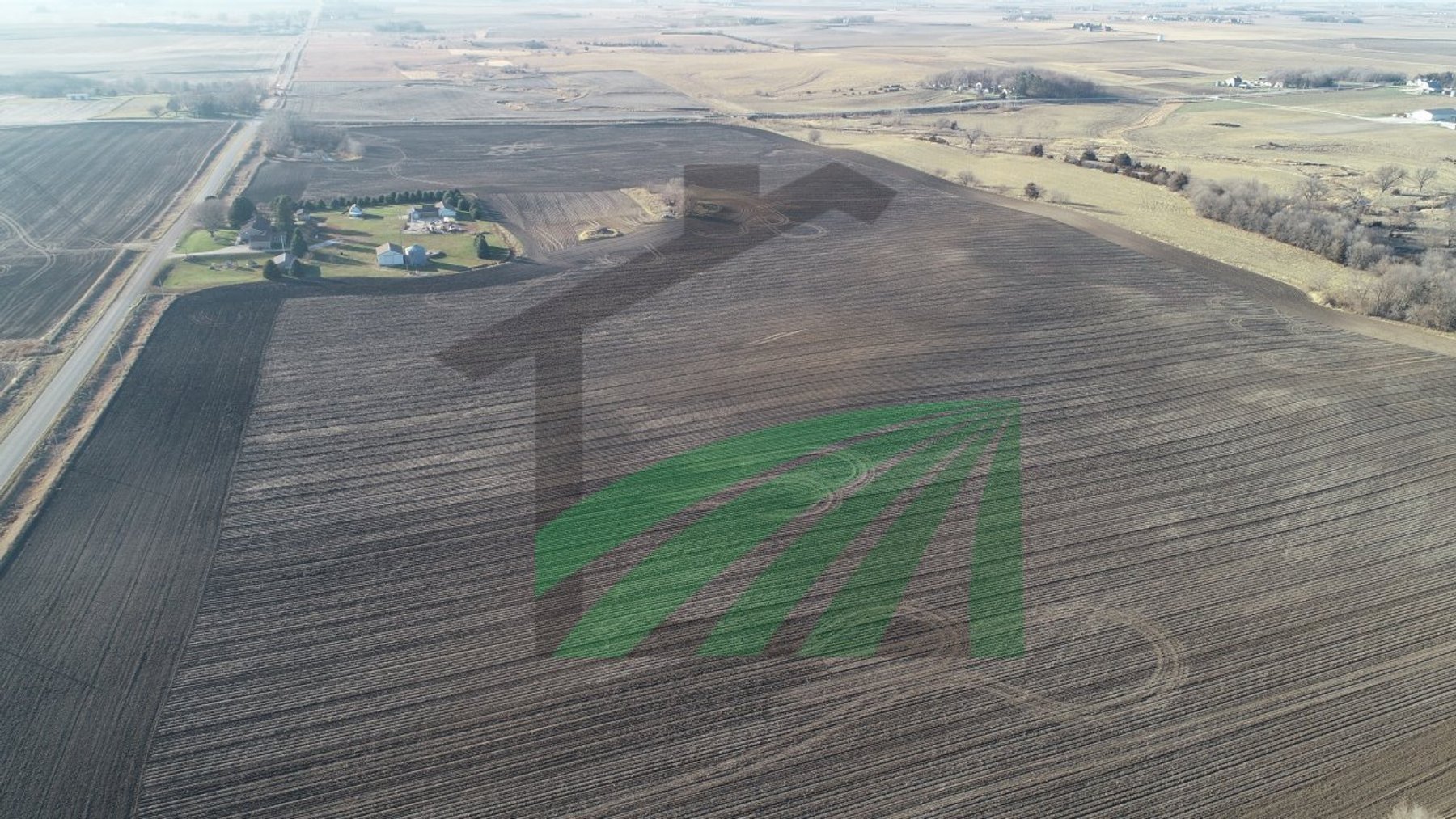 Image for Sac County, Iowa Farmland Auction