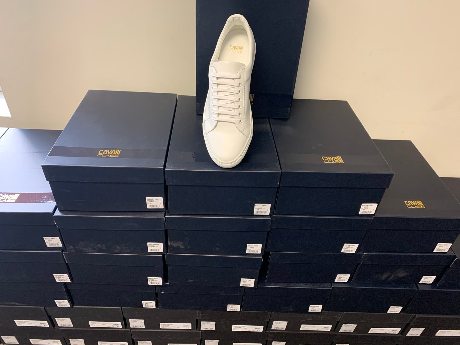 Image for An Inventory of Roberto Cavalli Clothing, Shoes & Belts