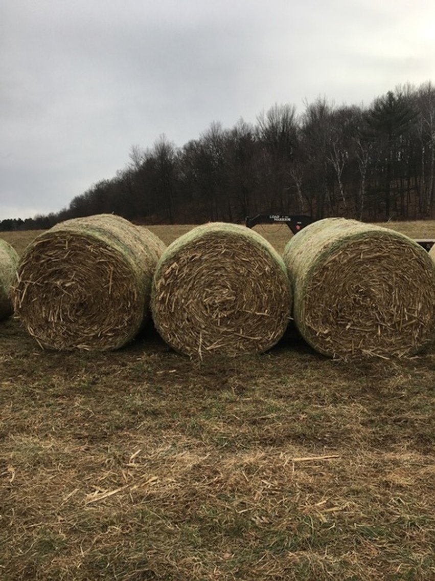 Image for Hay and Firewood Auction