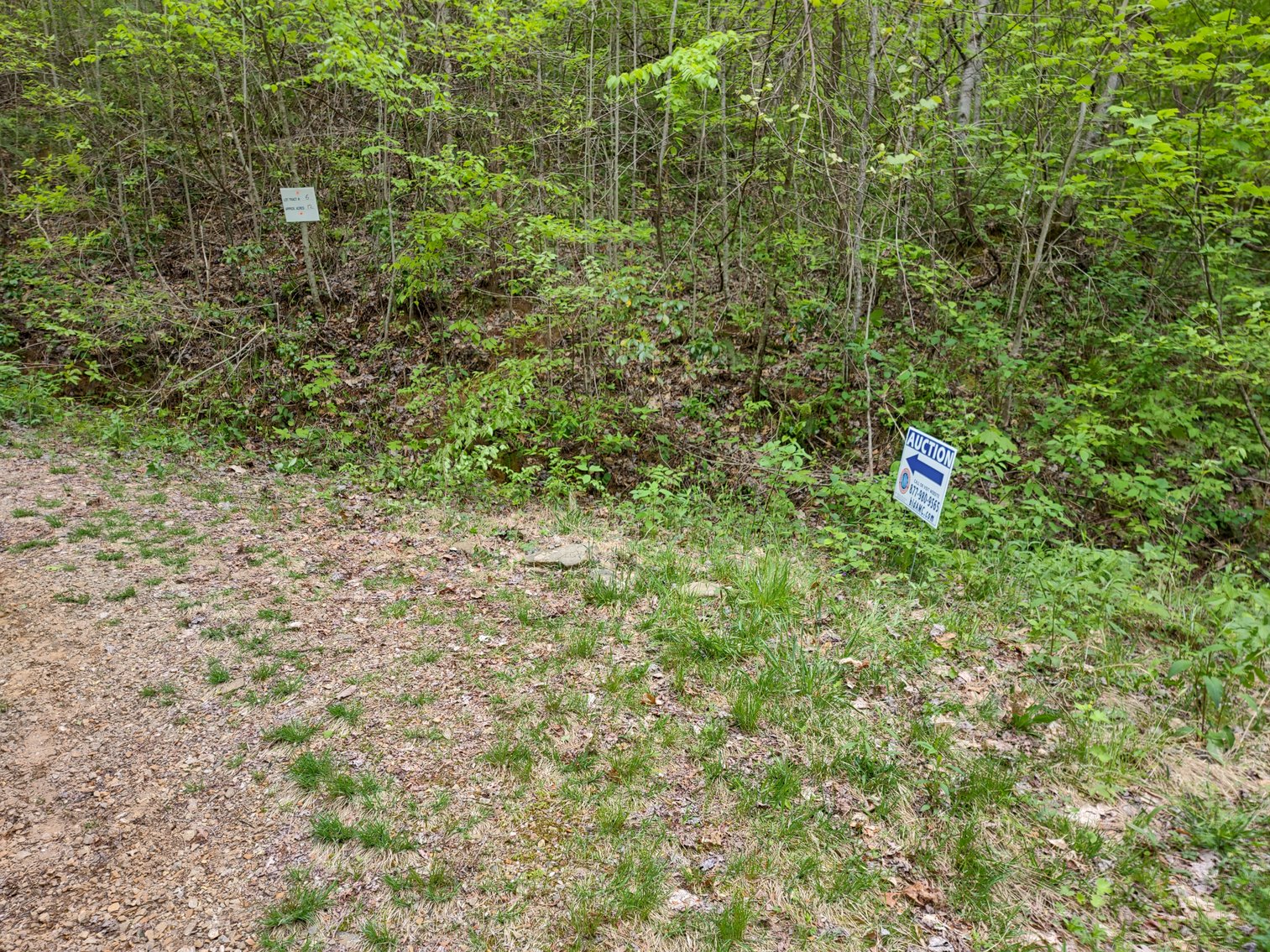 Image for Franklin, NC: 12± Mountaintop Acres in Peaceful Cove Estates, Franklin, NC 28734 (Macon County)